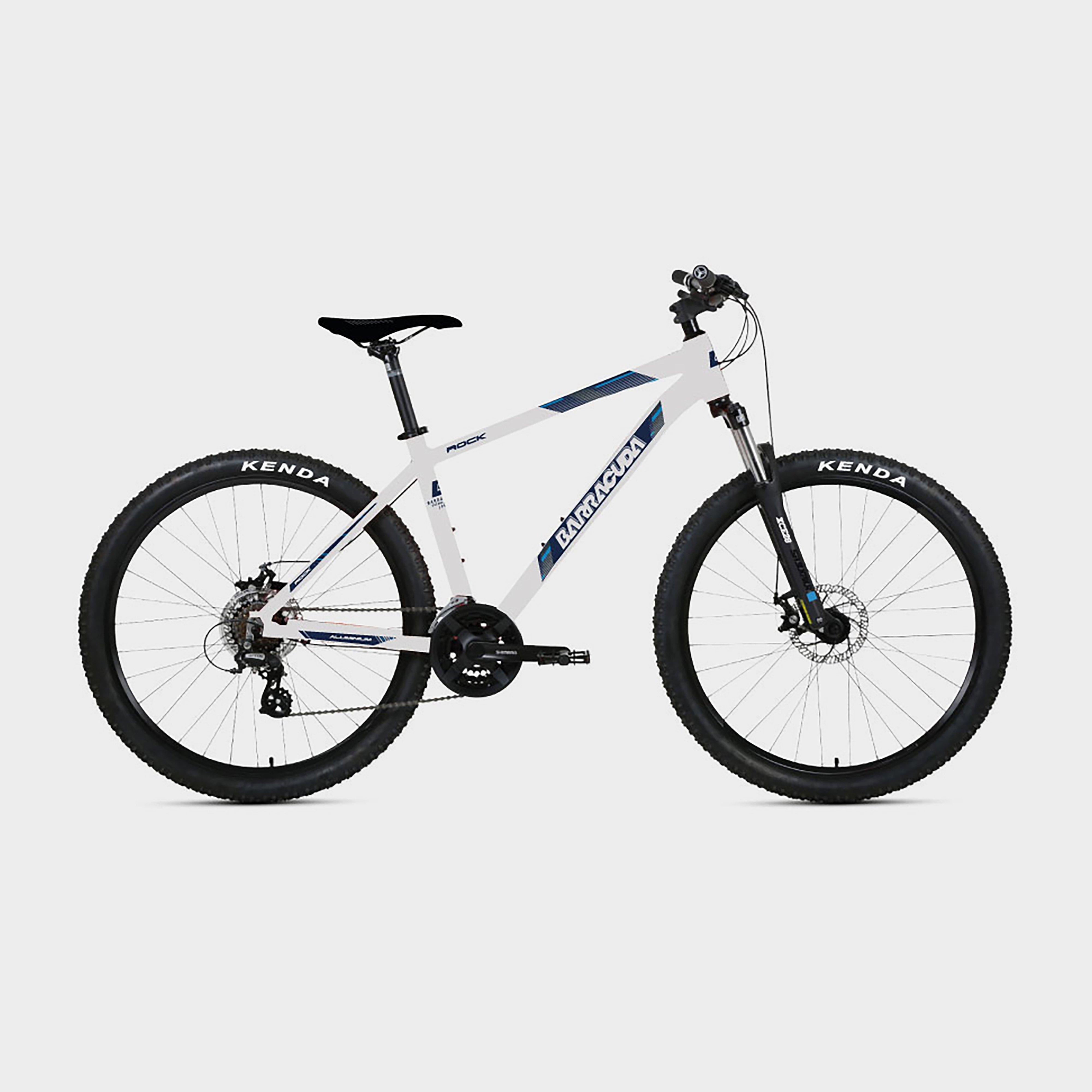 Rock 21-Speed Mountain Bike