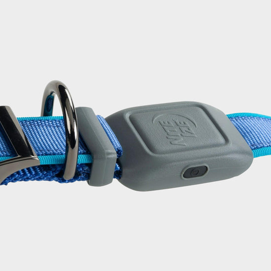 Nitedog® LED Rechargeable Collar Blue Large