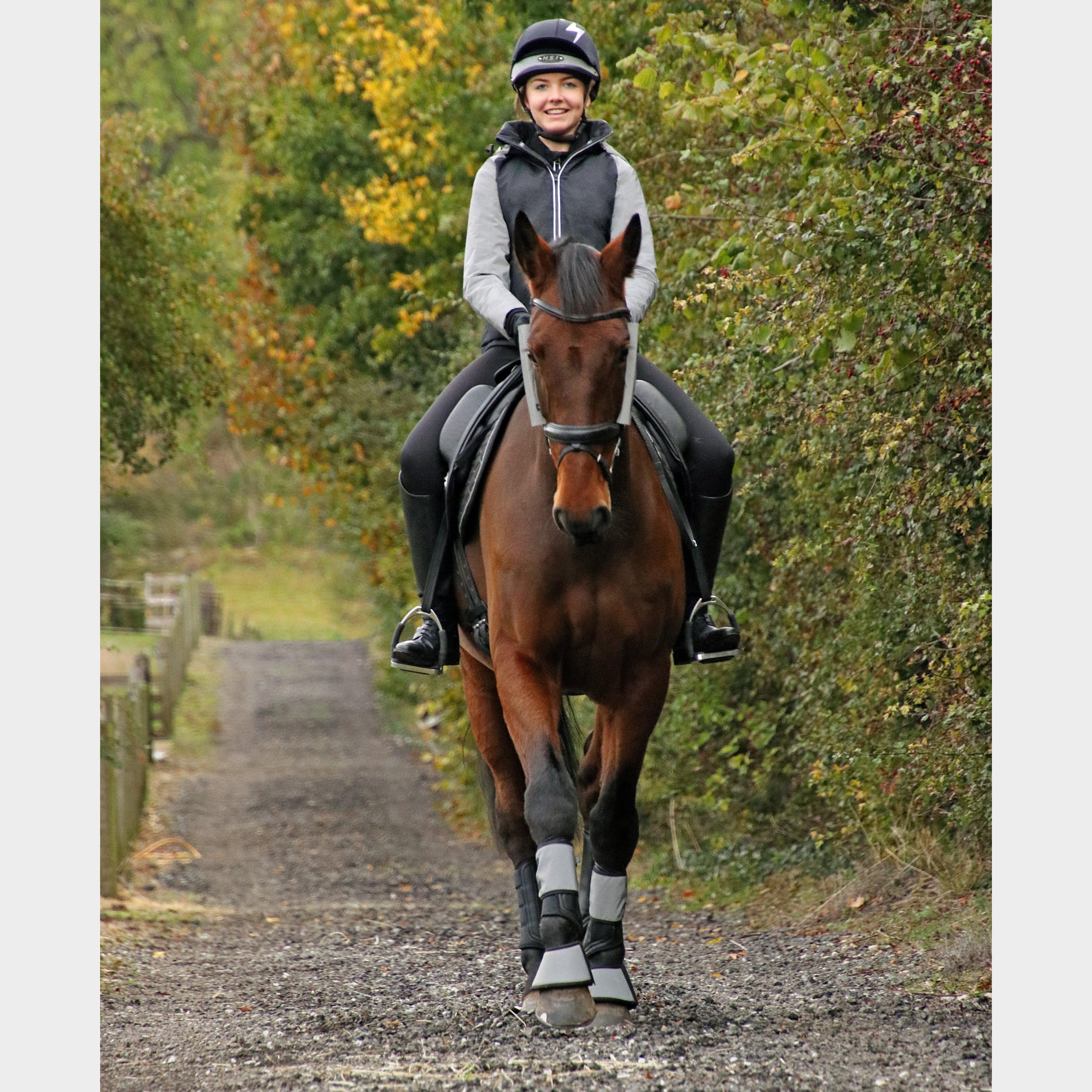 VIS Silva Bridle Set