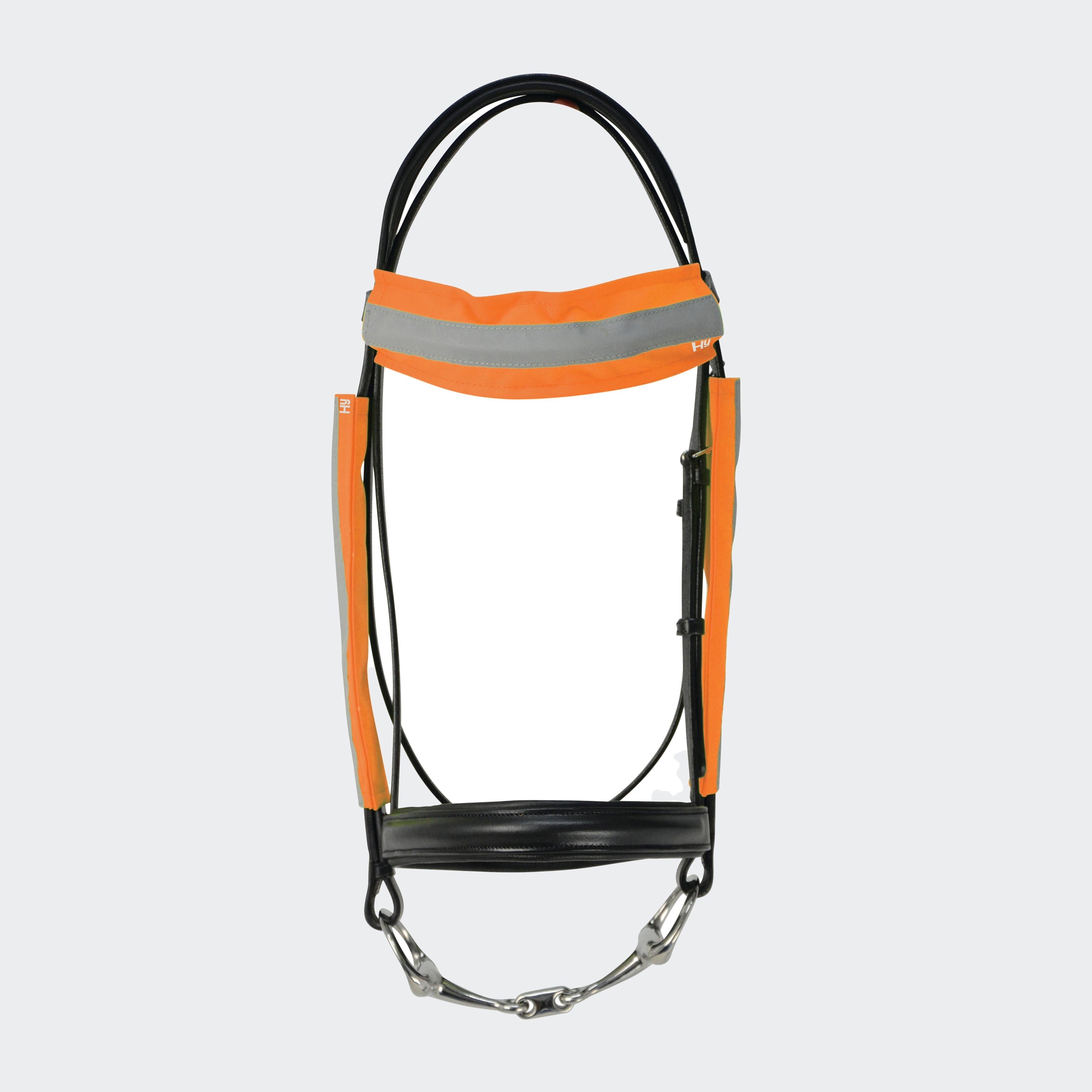 Bridle Set