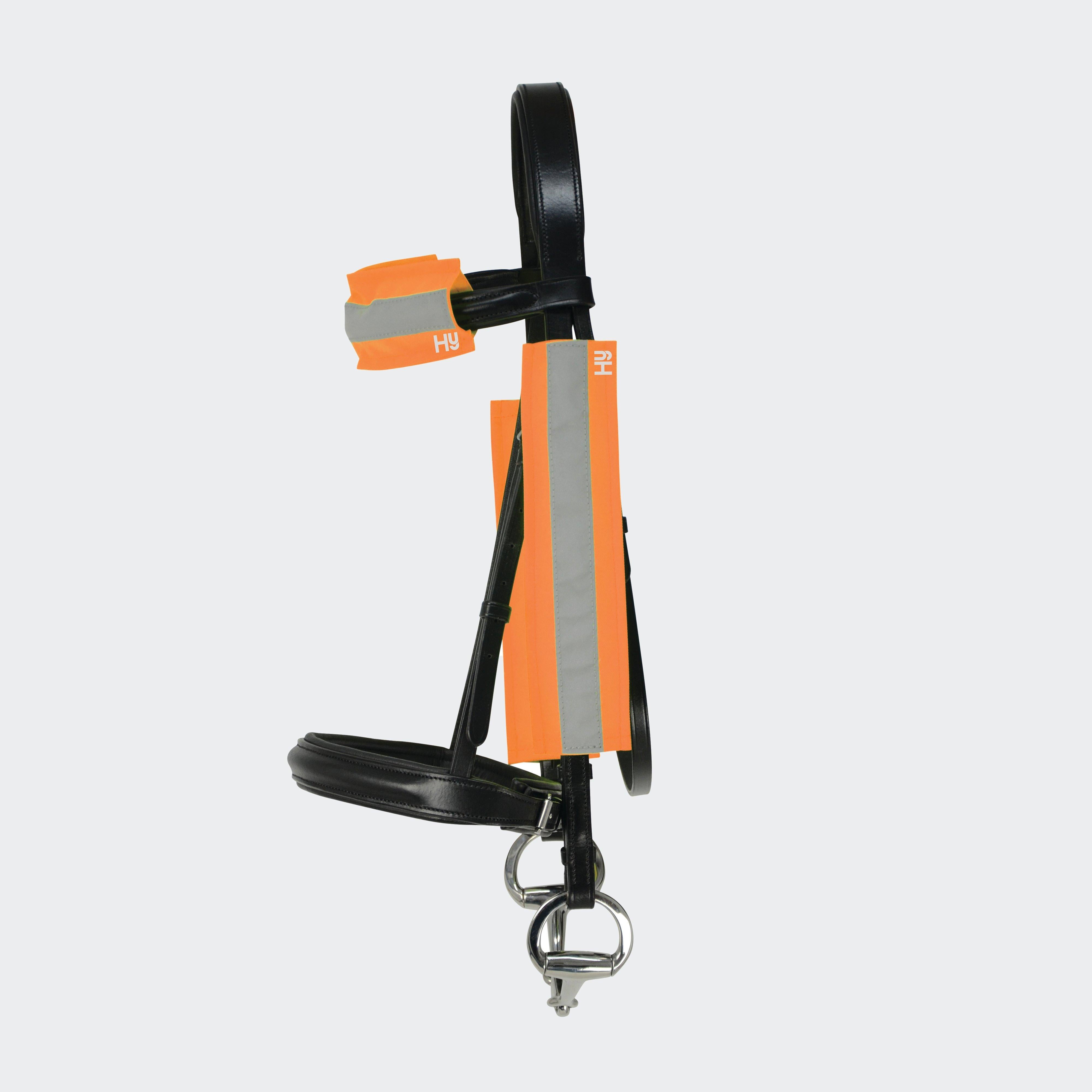 Bridle Set