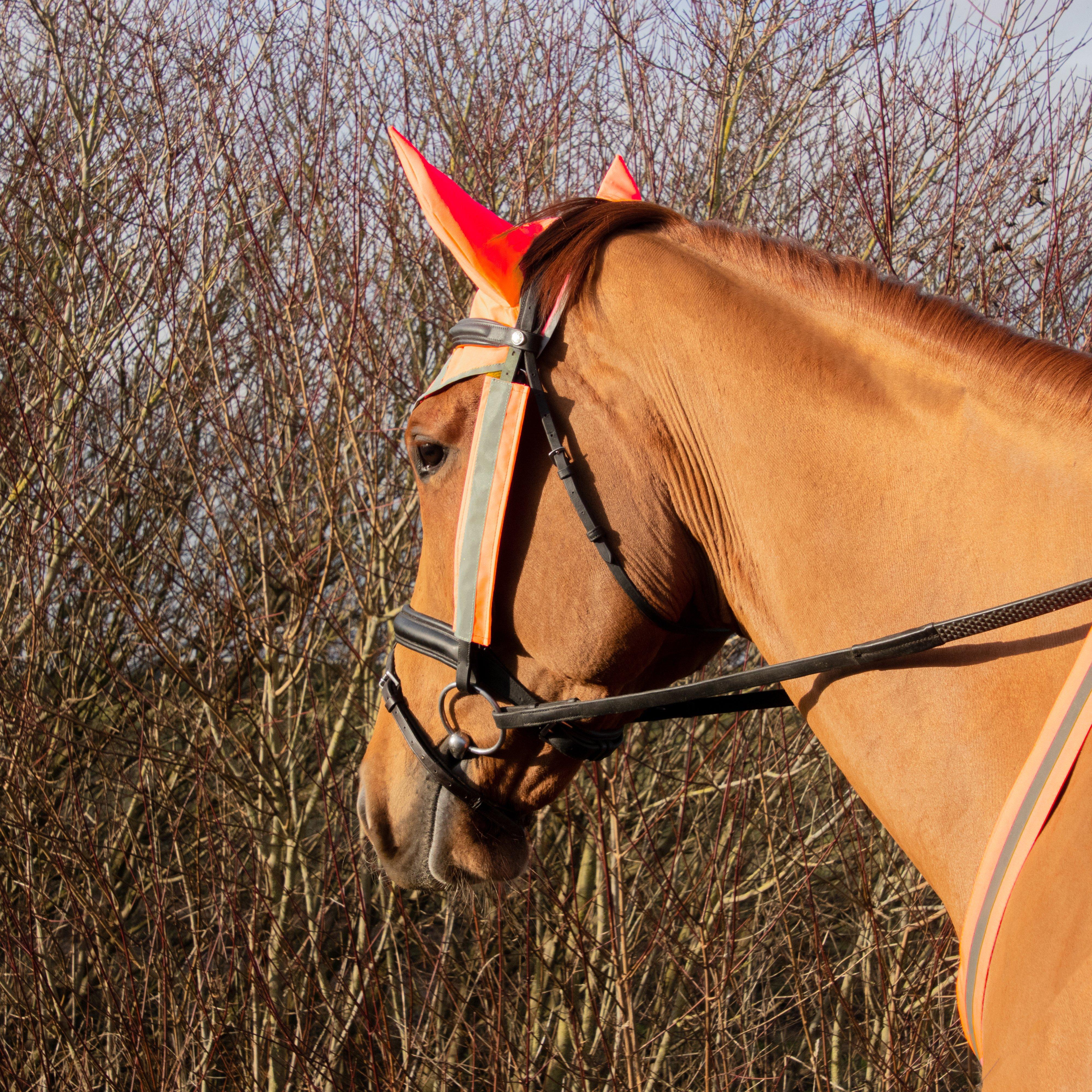 Bridle Set