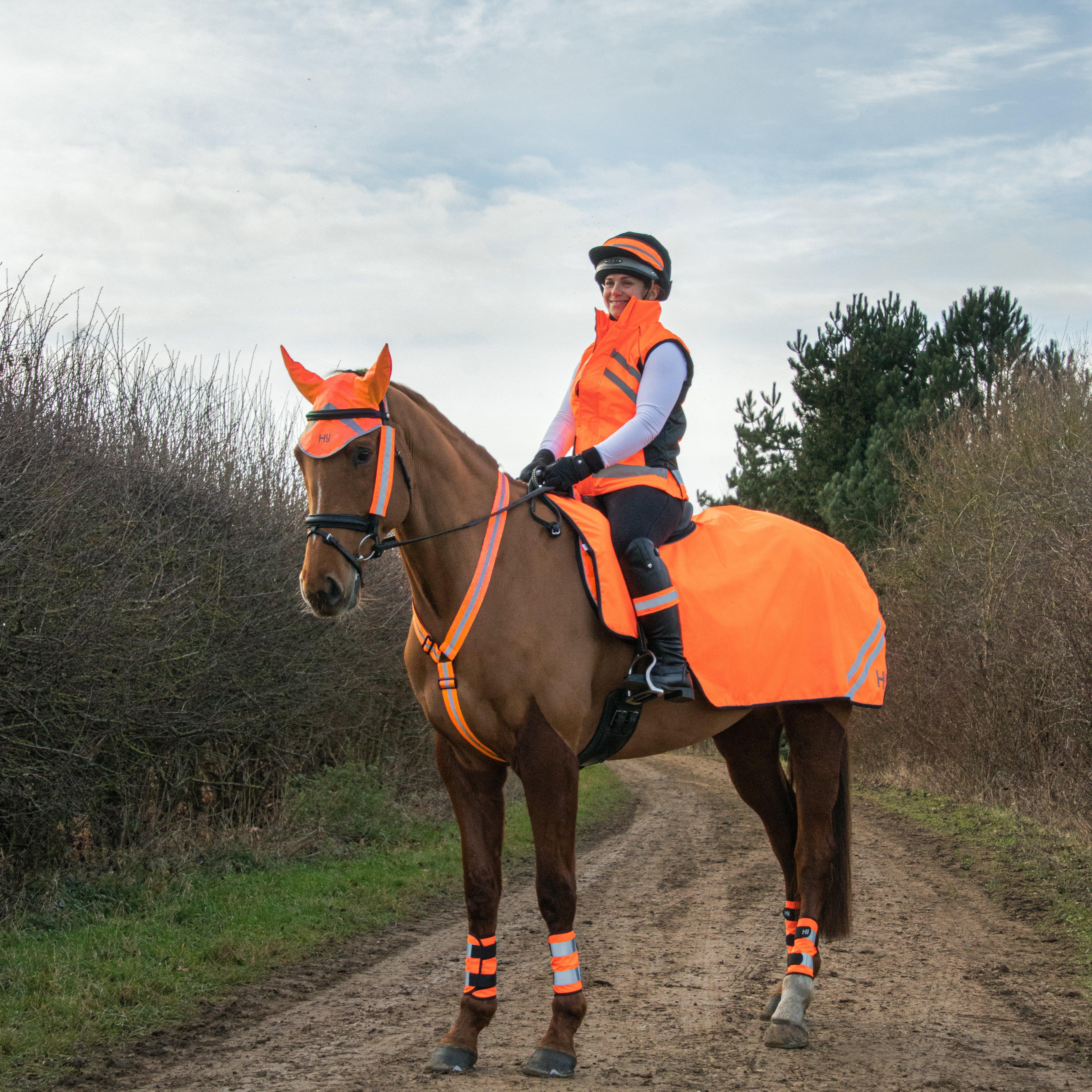 Bridle Set
