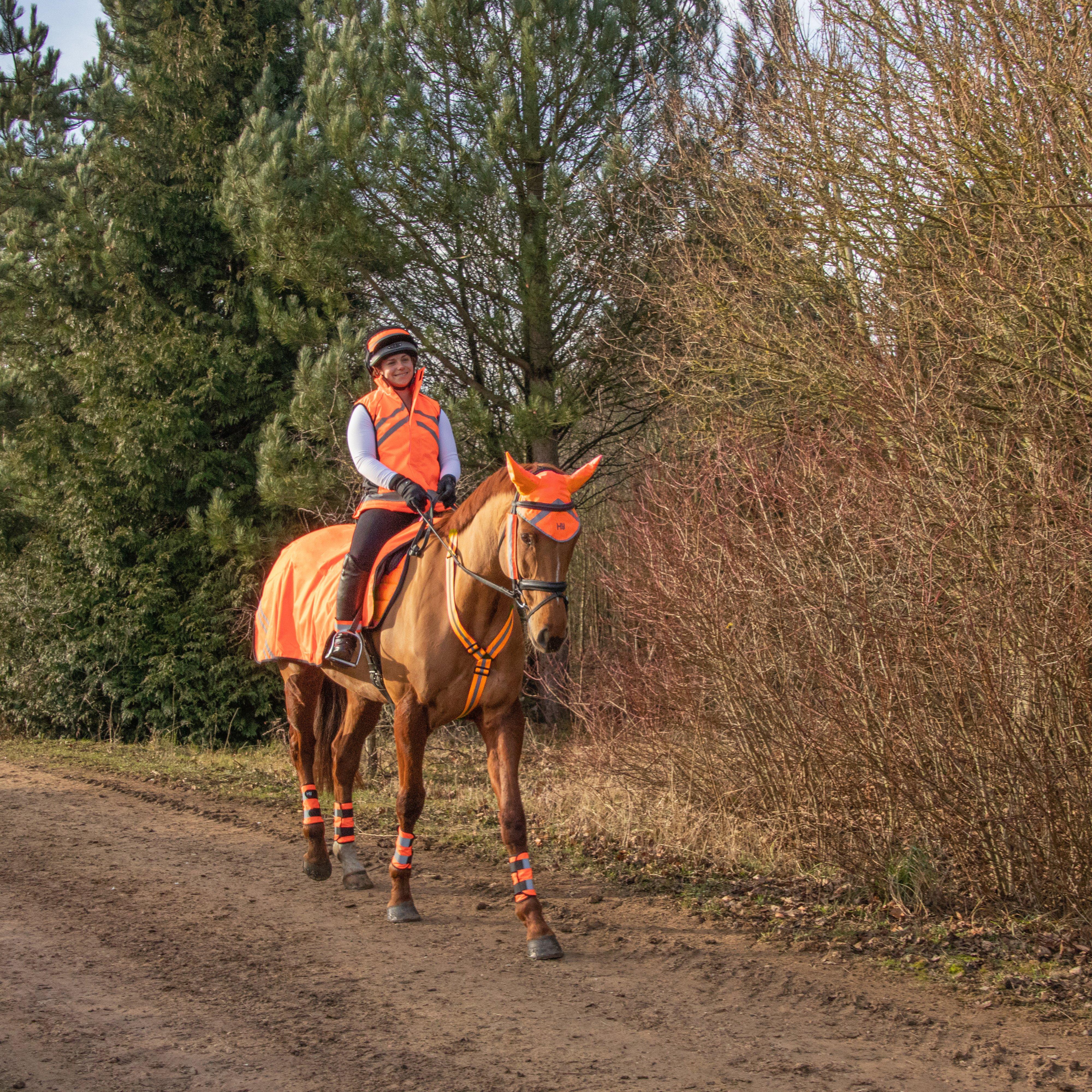 Bridle Set