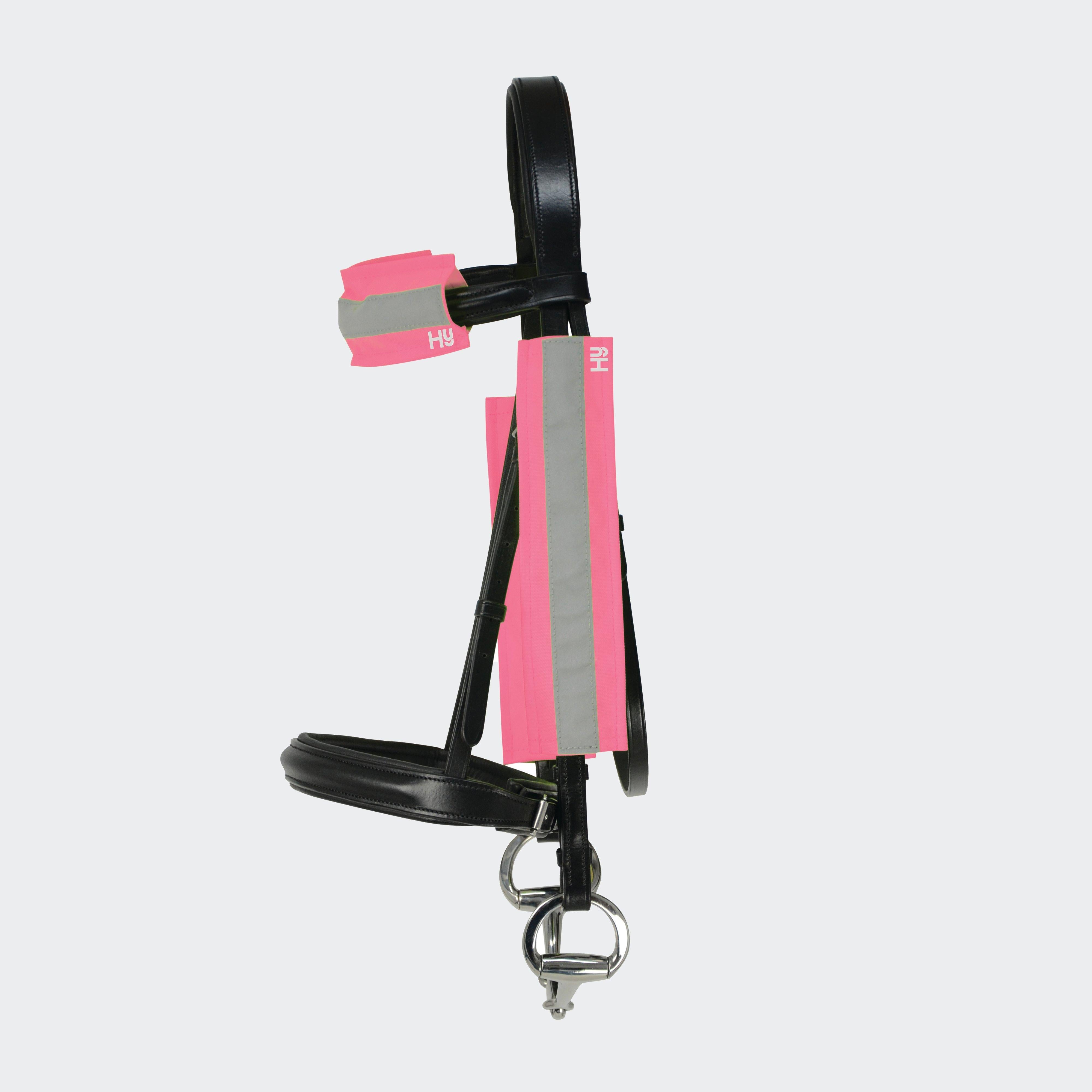 Bridle Set