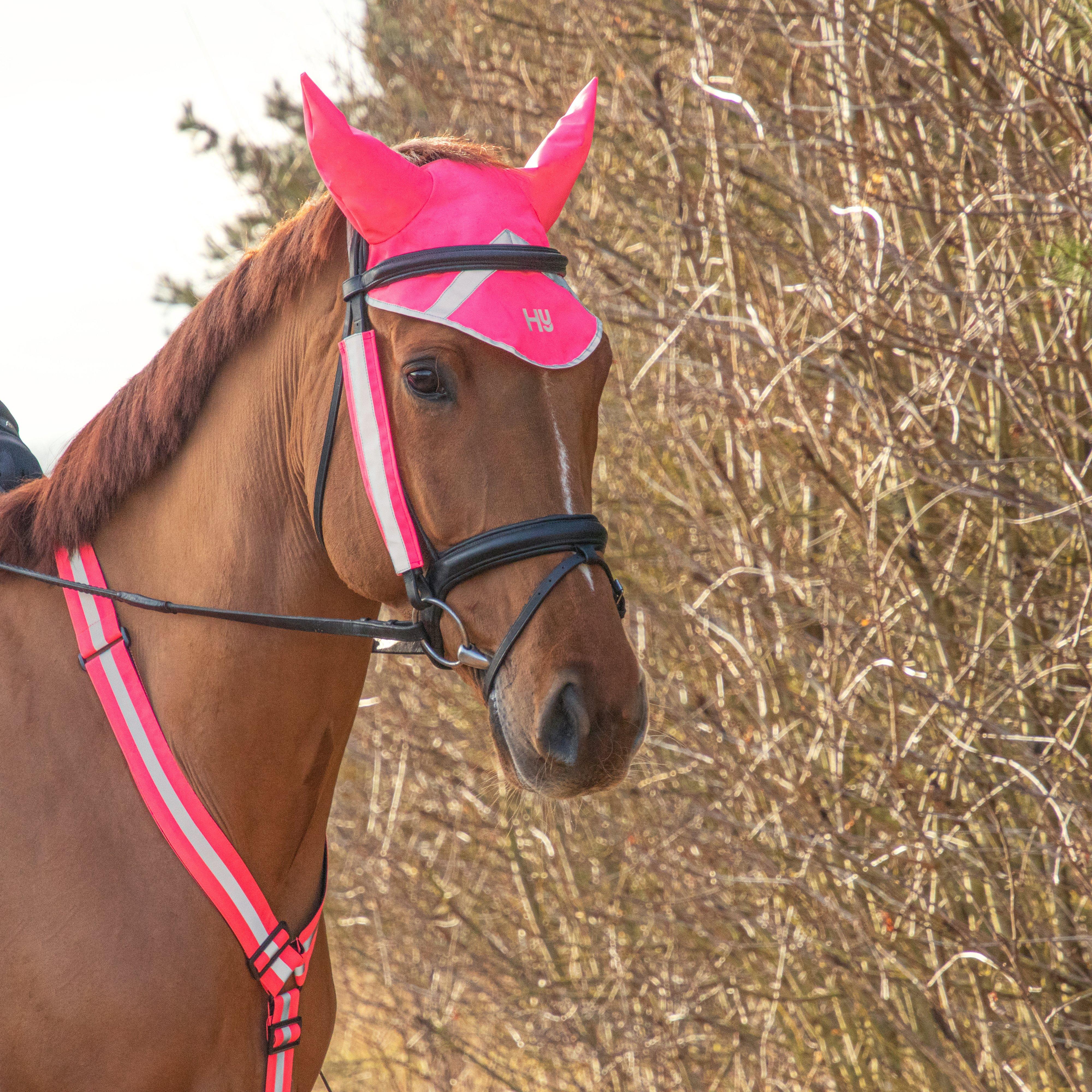 Bridle Set