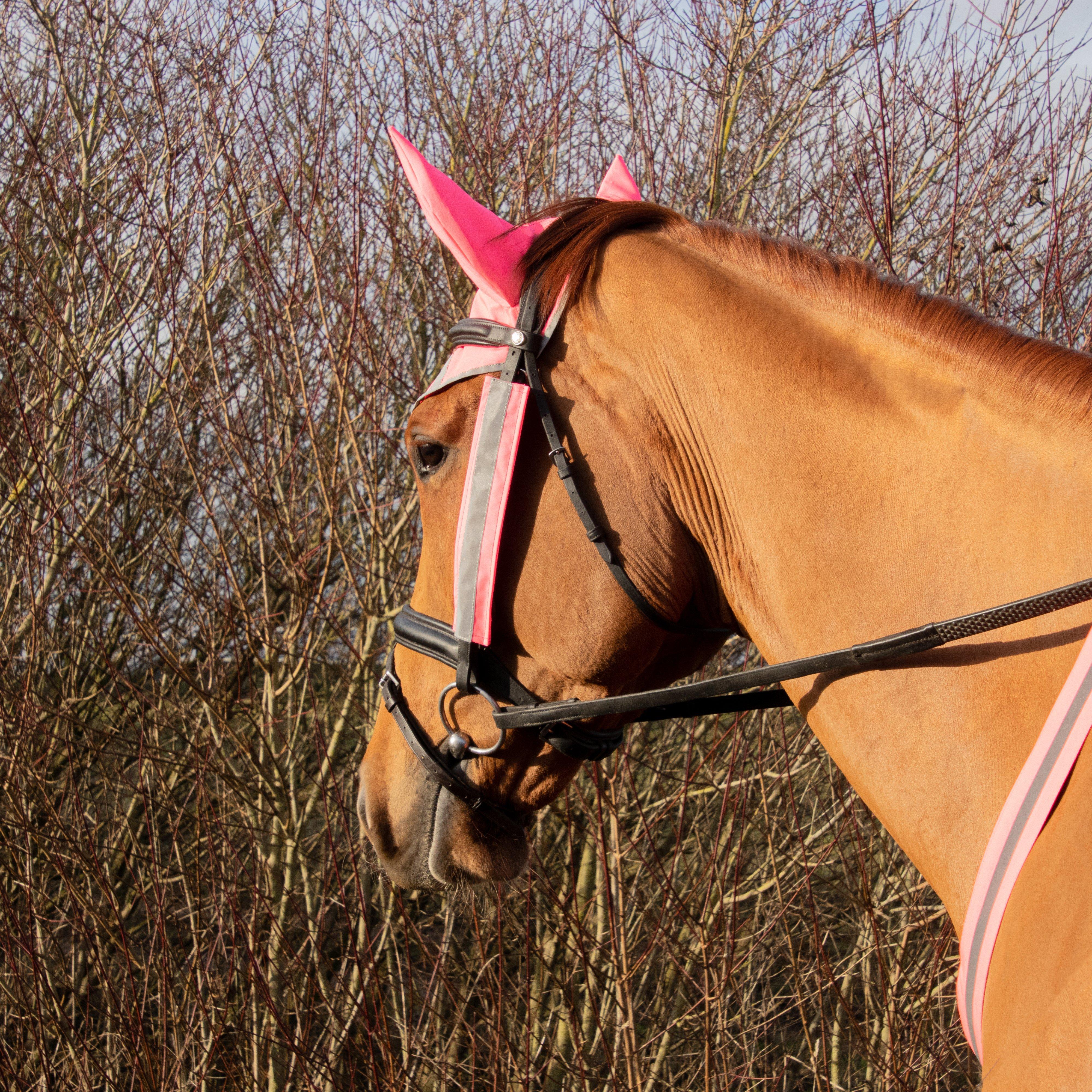 Bridle Set