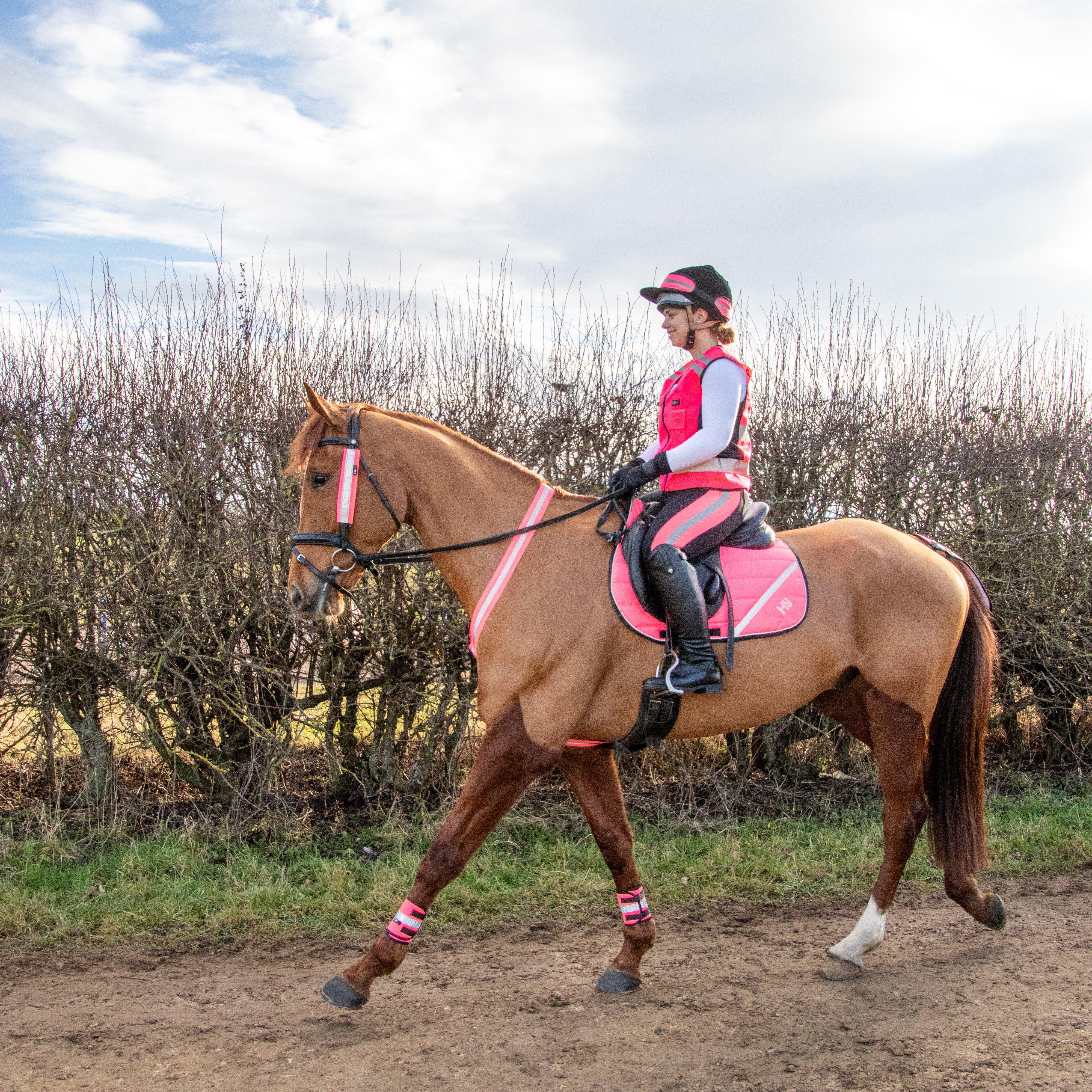 Bridle Set