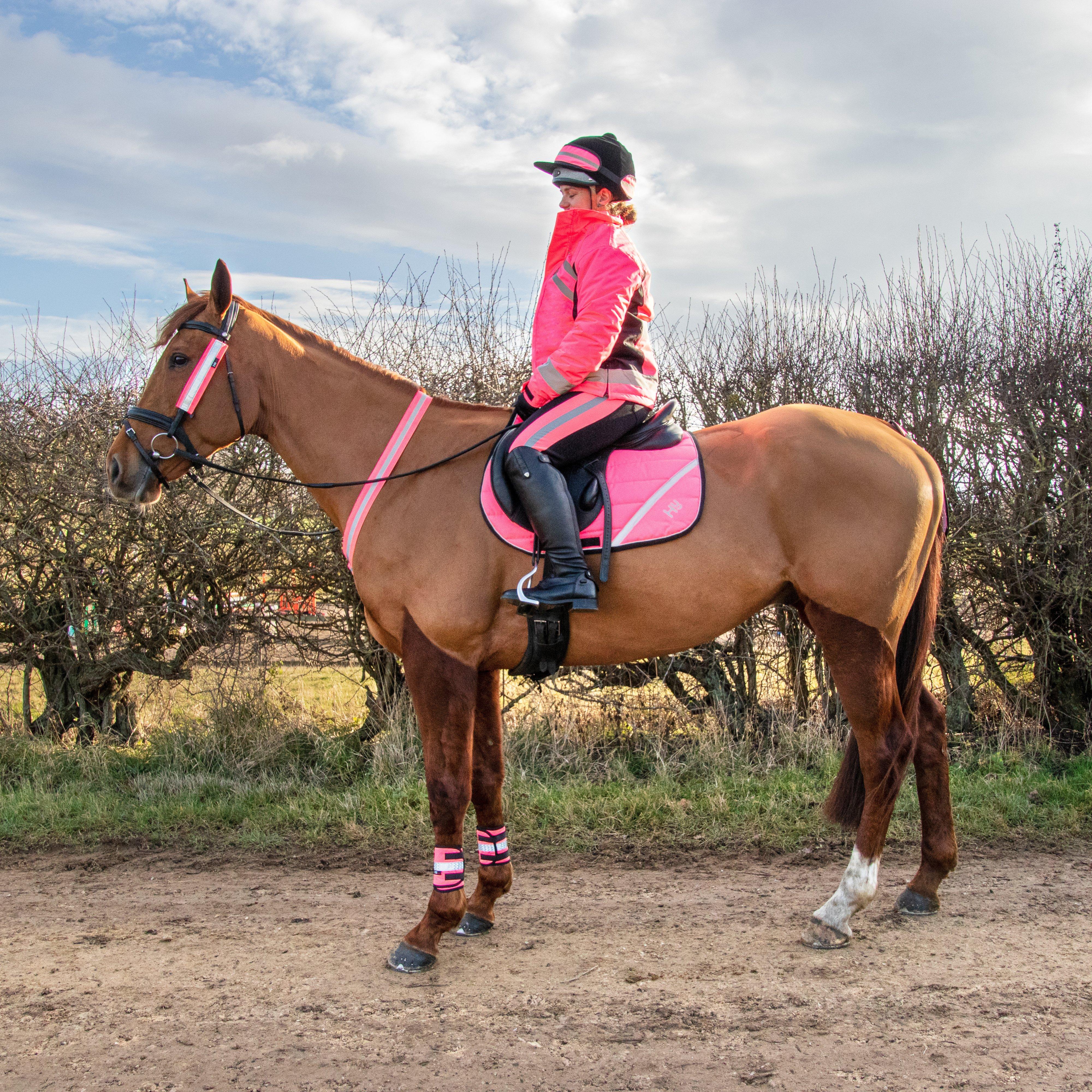 Bridle Set