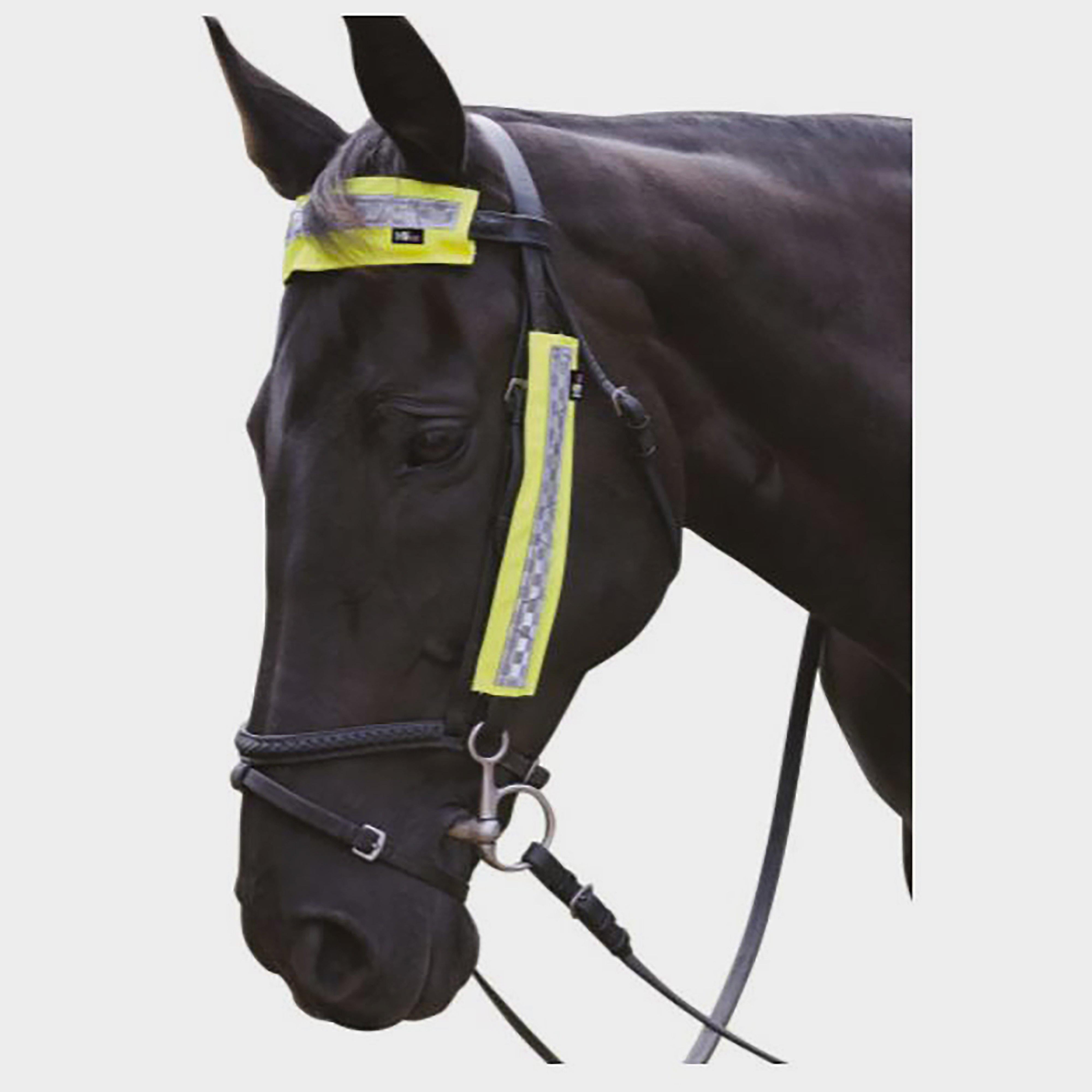 Bridle Set
