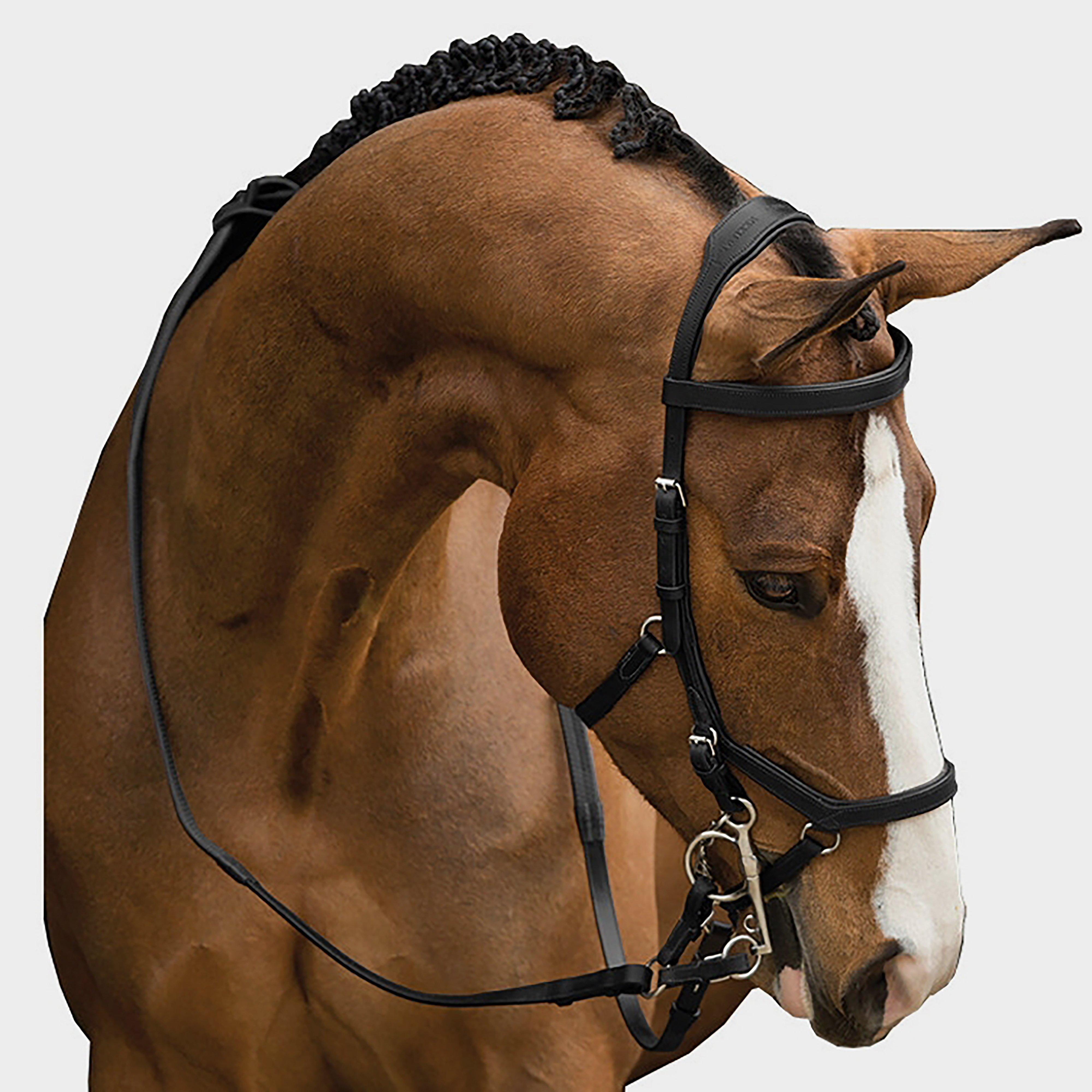 Rambo Micklem Competition Bridle