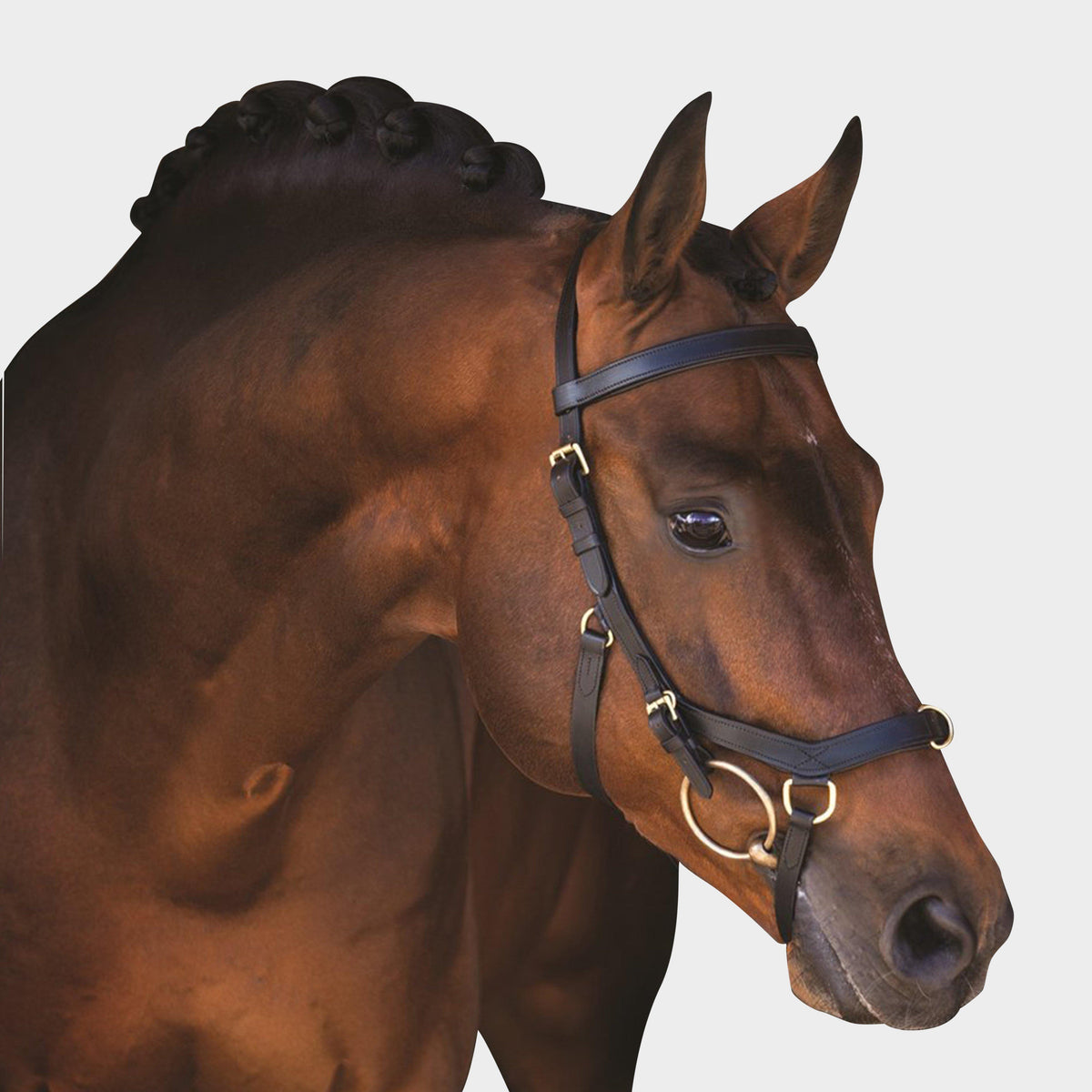 Rambo Micklem Multibridle