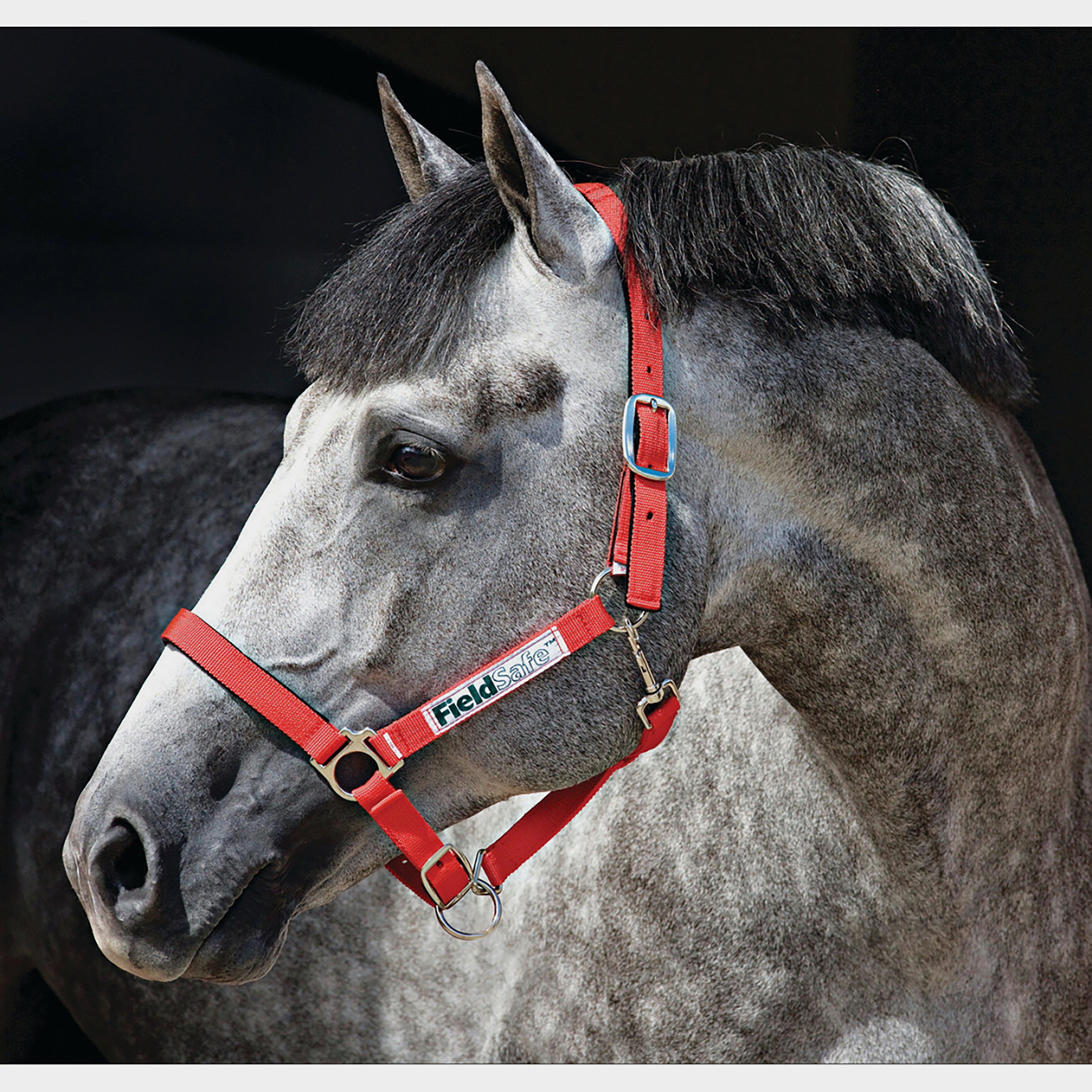 Fieldsafe Headcollar
