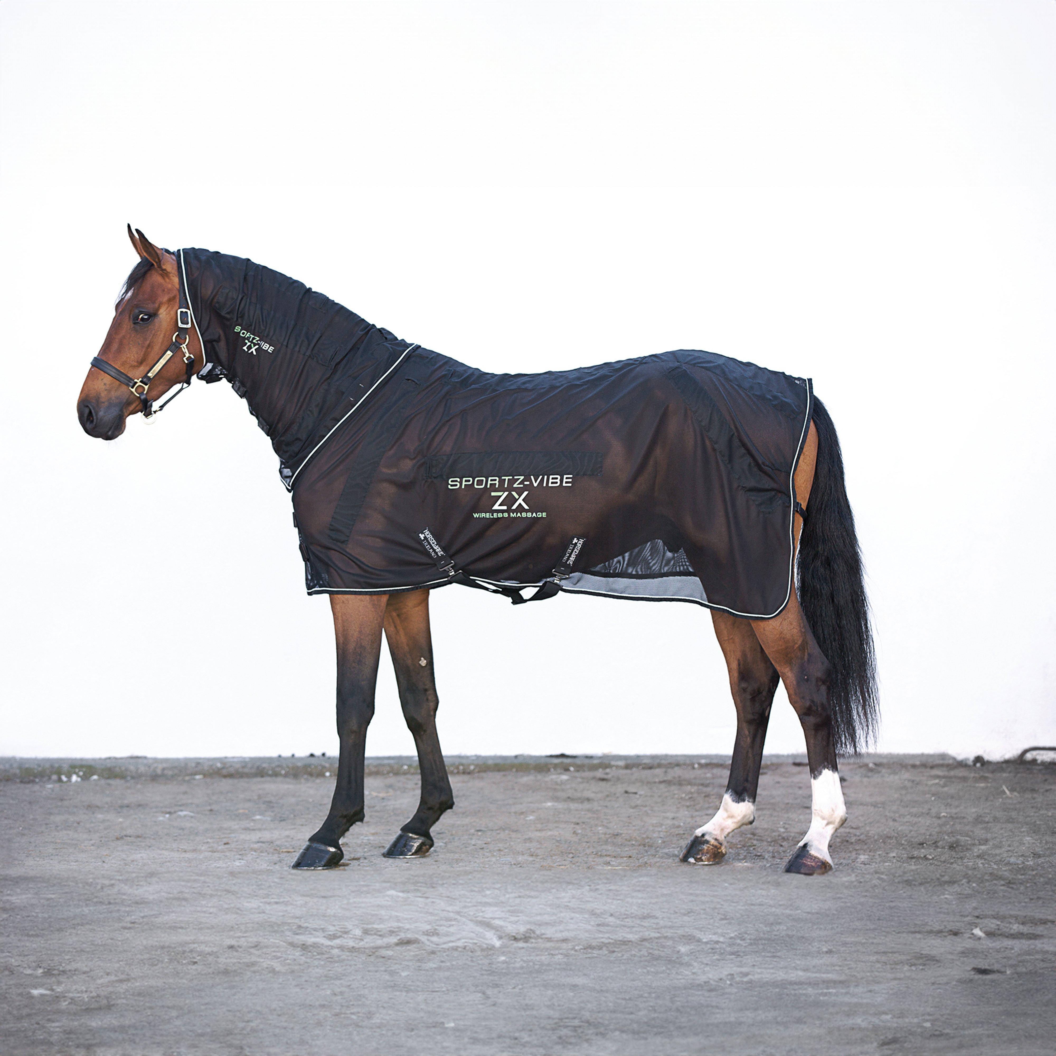 Sportz-Vibe Rug