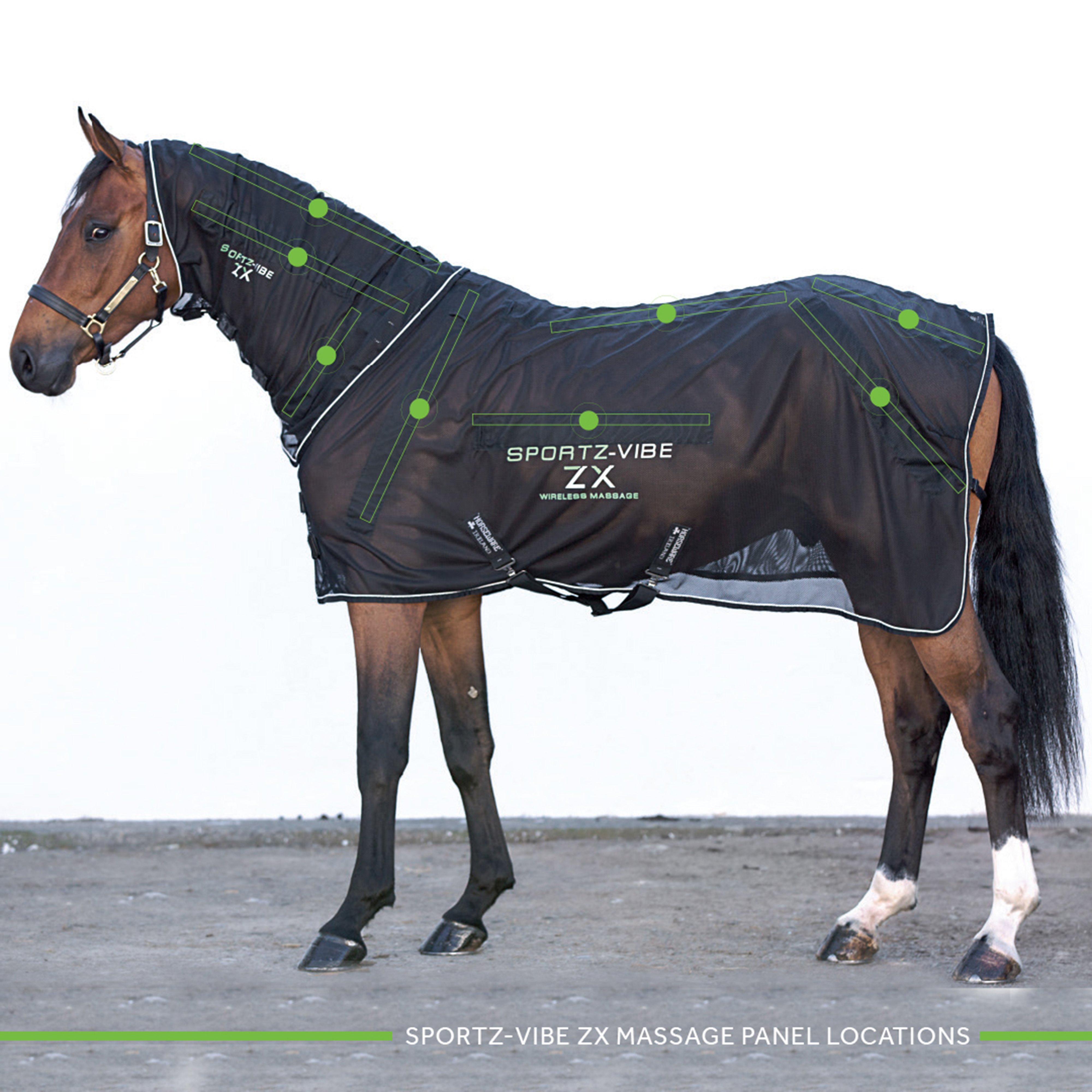 Sportz-Vibe Rug