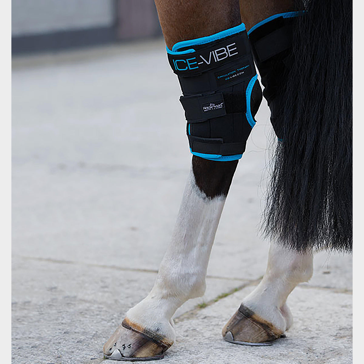Ice-Vibe® Hock Wrap