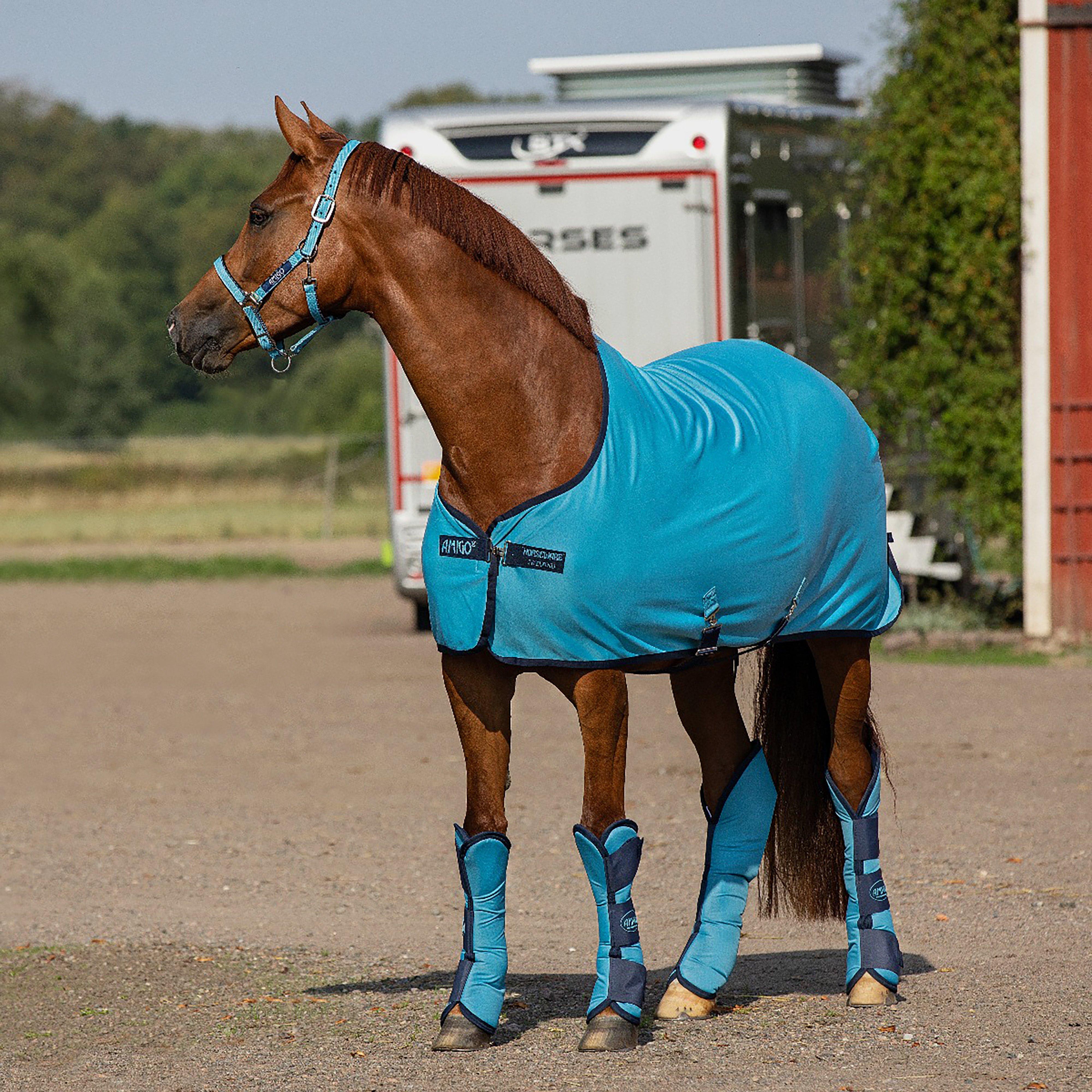 Amigo® Headcollar