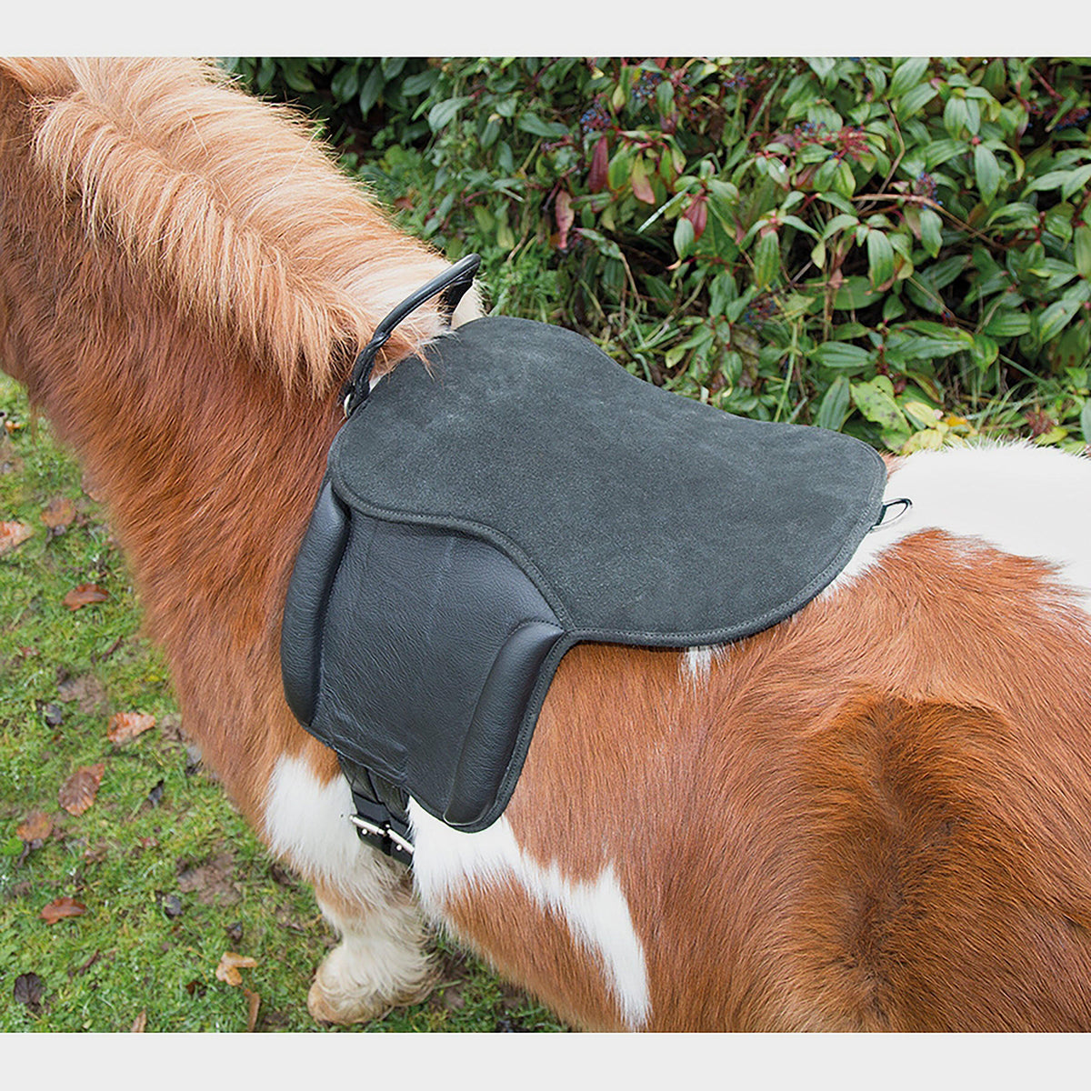 Pony Pad