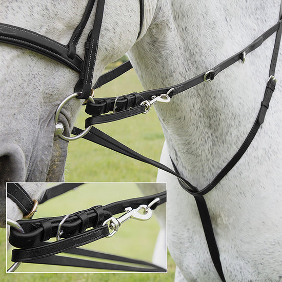 Market Harborough Havana