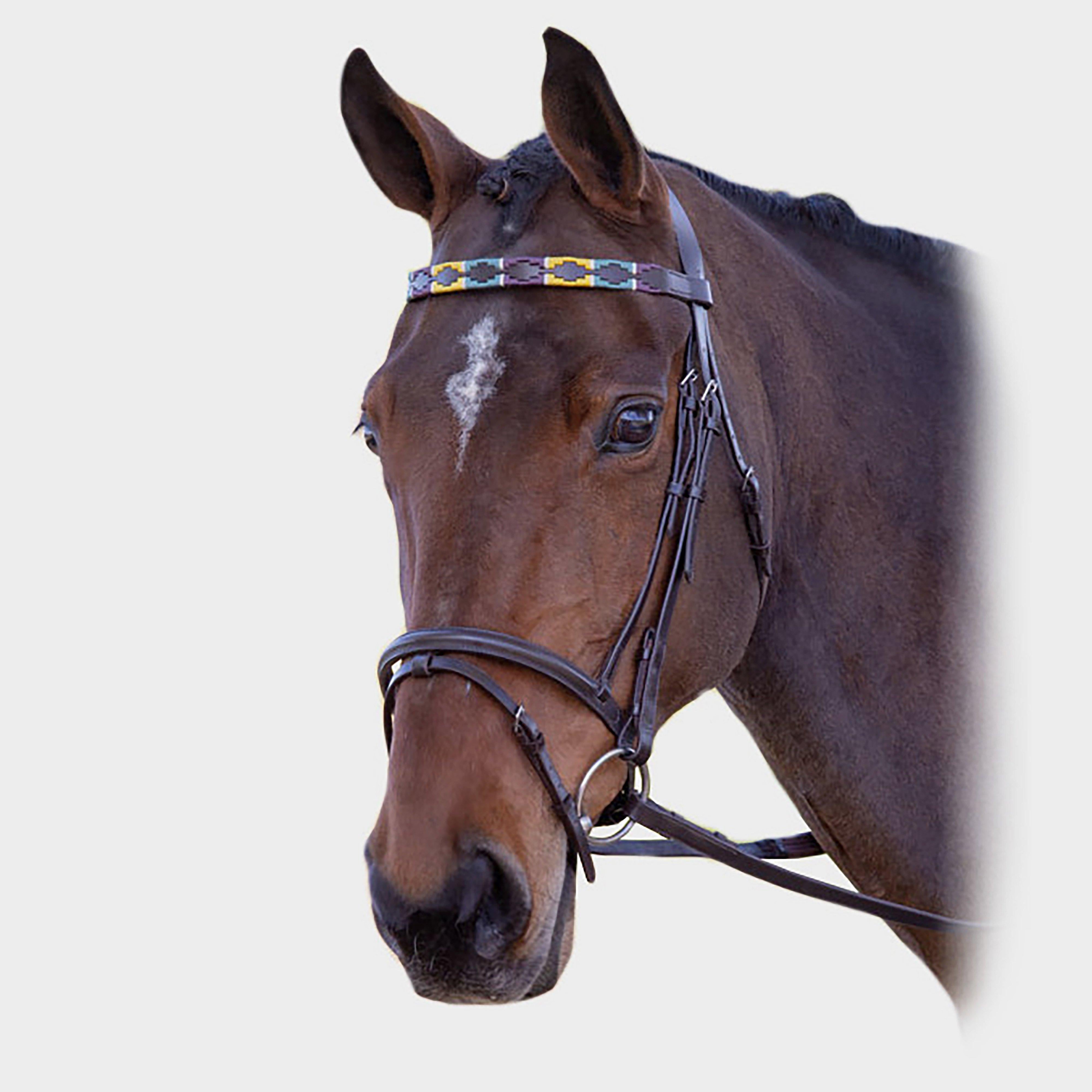 Leather Polo Browband