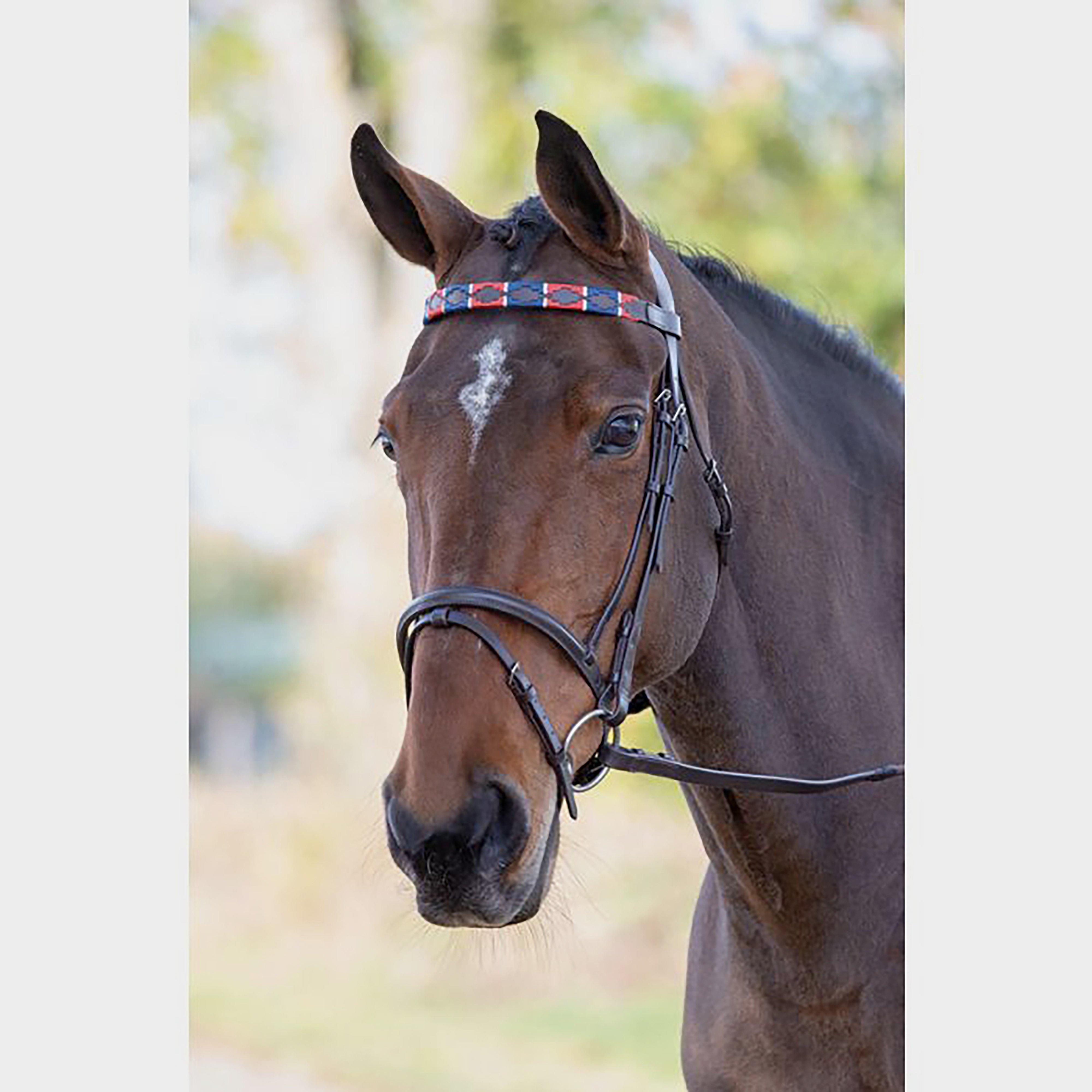 Leather Polo Browband