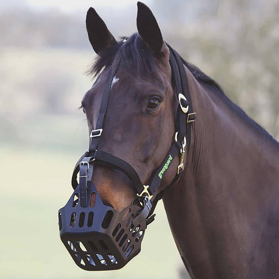Muzzle Head Collar