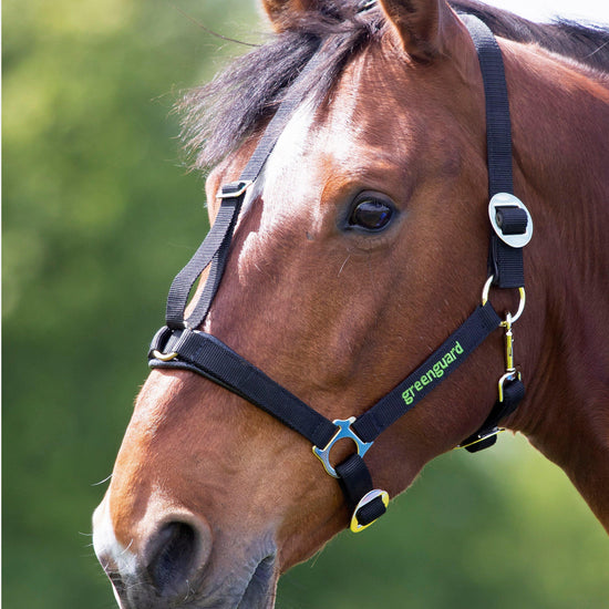 Muzzle Head Collar