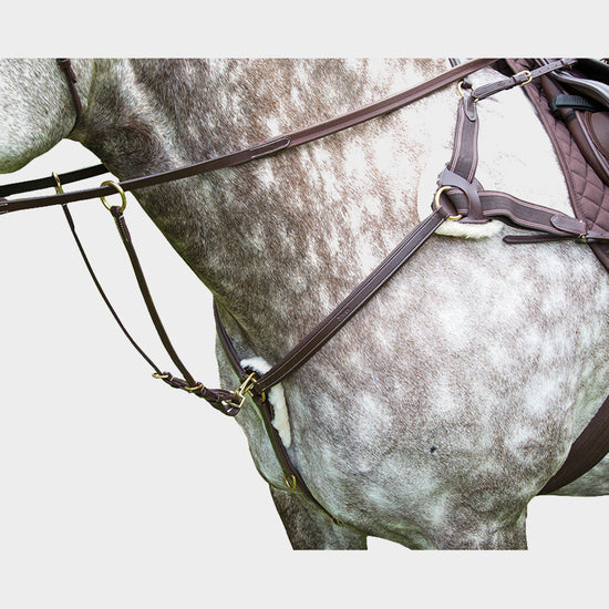 Salisbury 5 Point Breastplate
