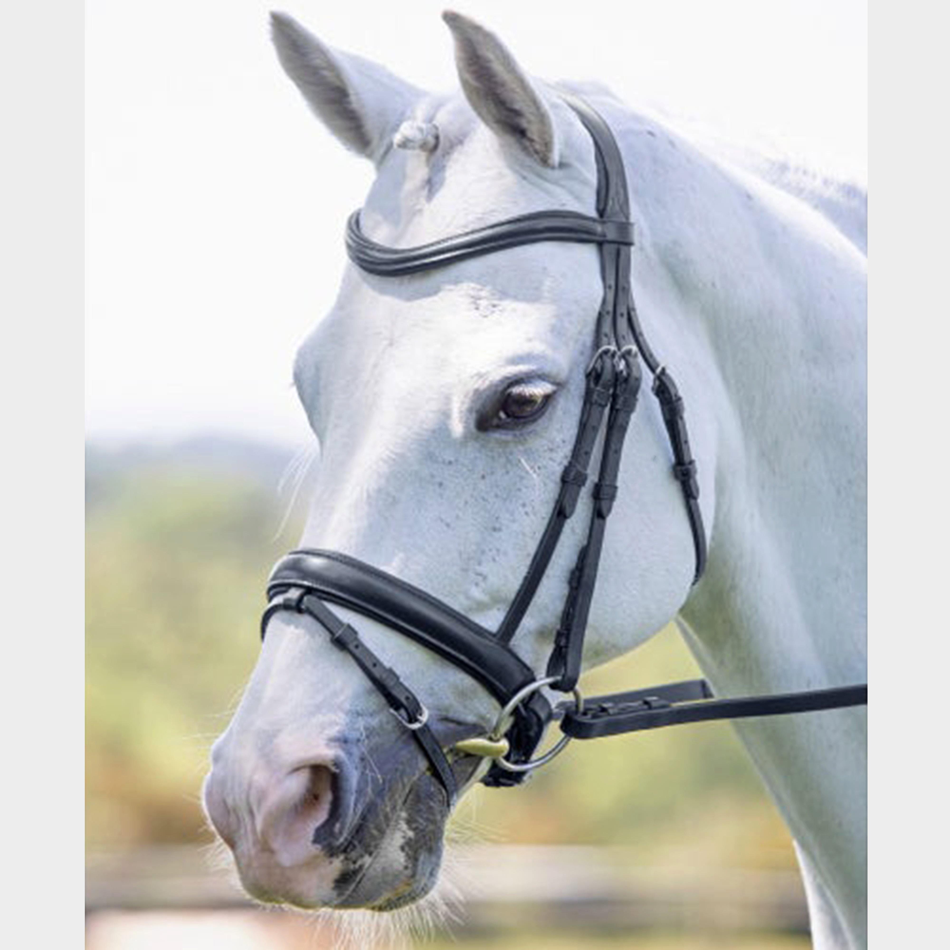 Dressage Flash Bridle Black