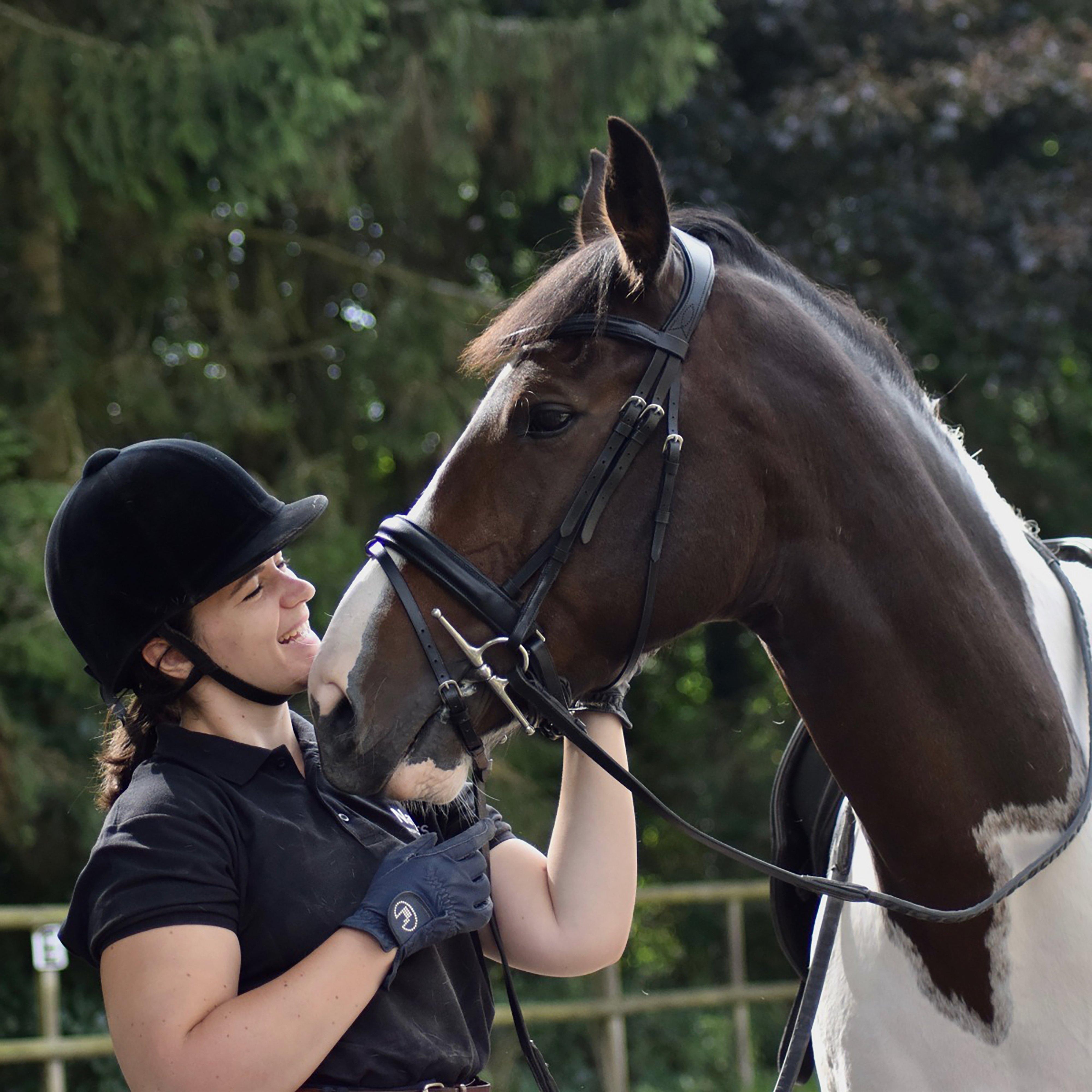Dressage Flash Bridle Black