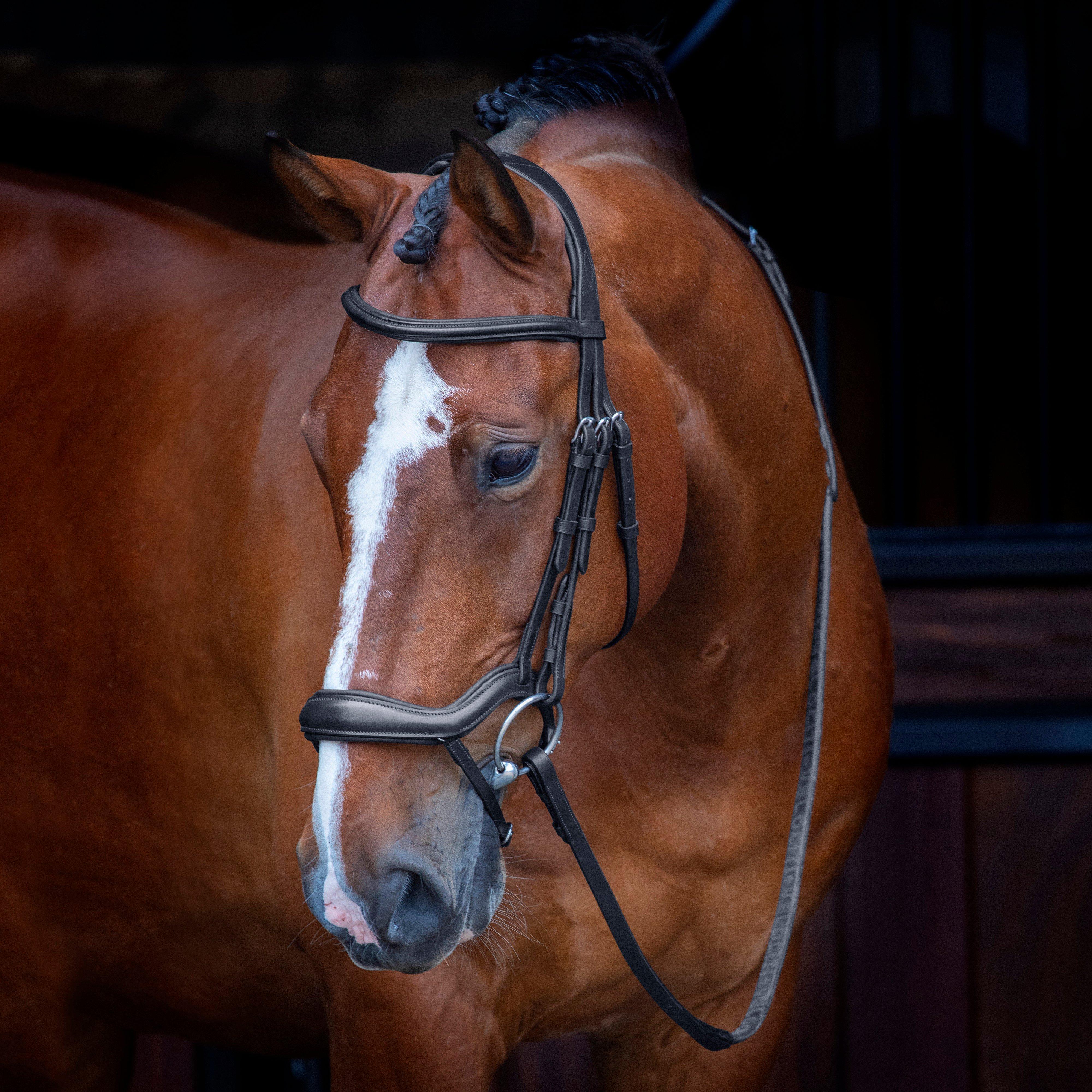 Velociti Ergonomic Flash Bridle Black