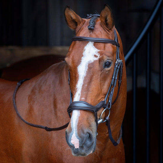 Velociti Ergonomic Flash Bridle Havana