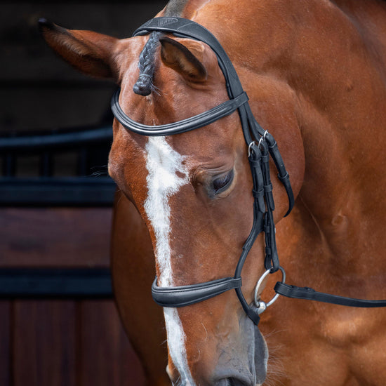 Velociti Rolled Padded Cavesson Bridle Black
