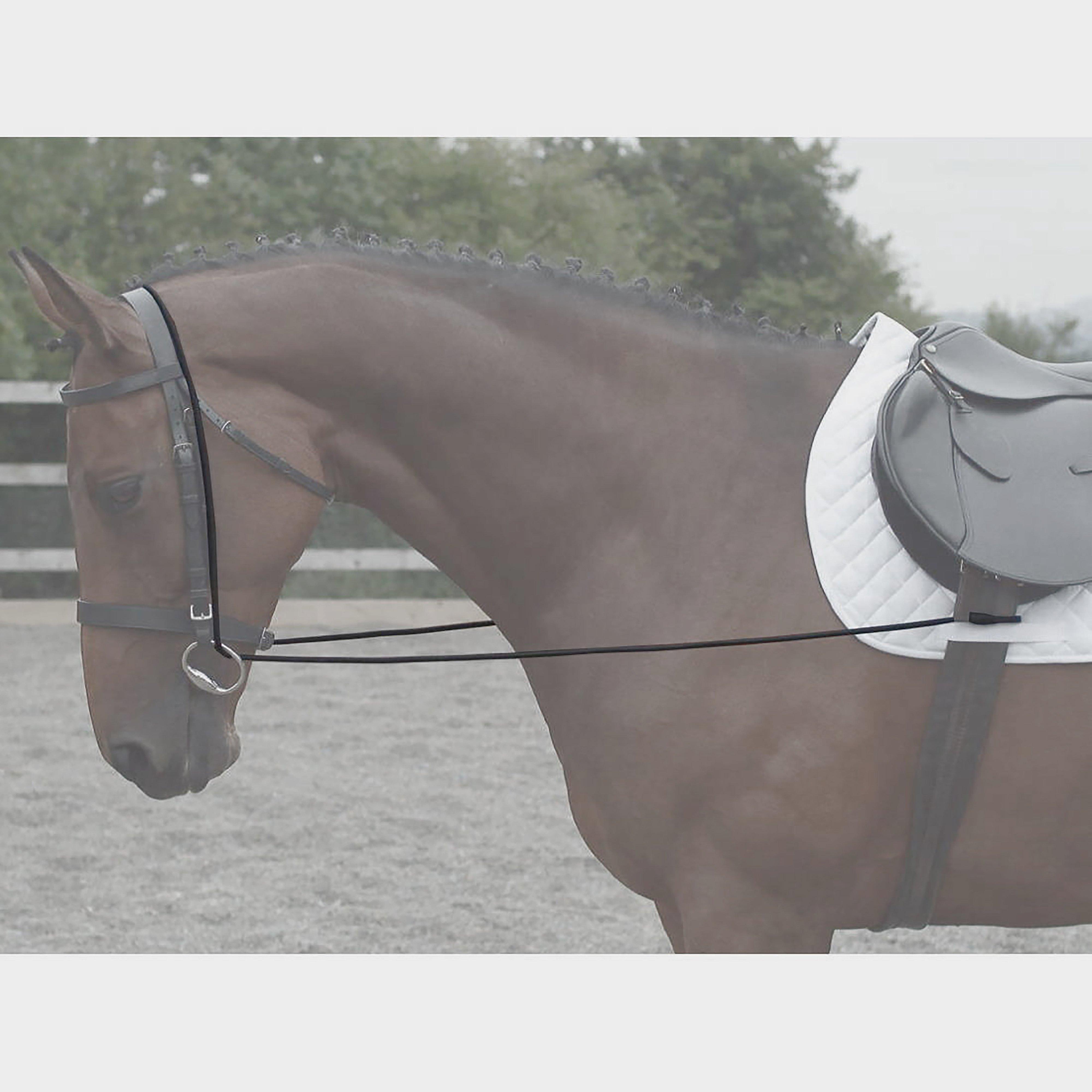 Elastic Bungee Reins