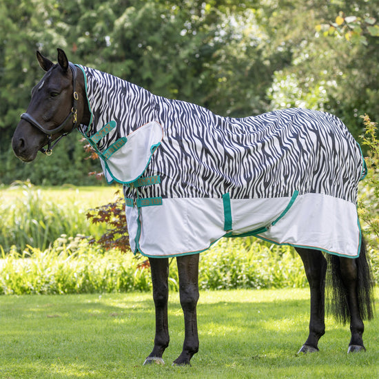 Original Tempest Fly Combo Rug Zebra