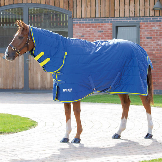 Tempest 100 Stable Combo Rug