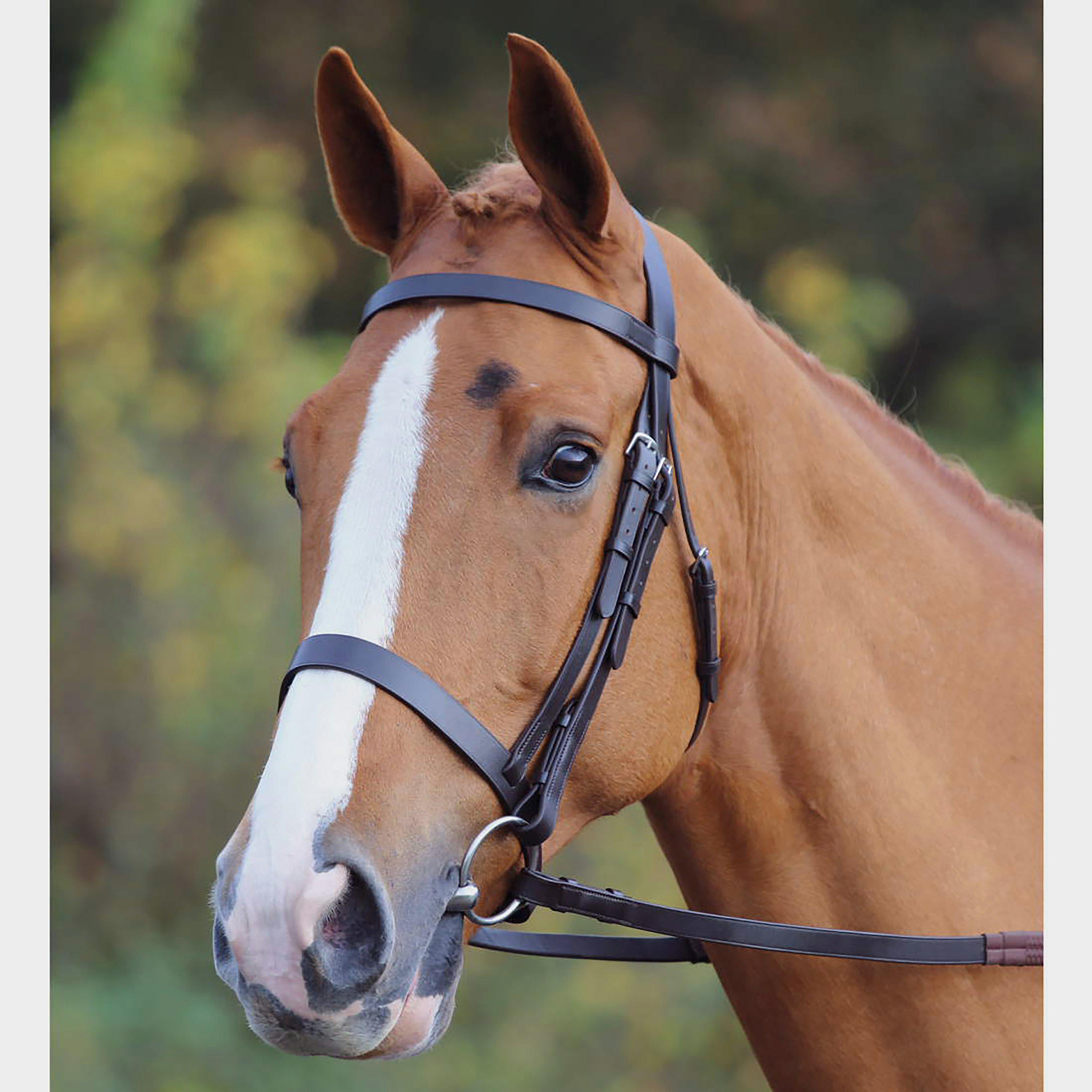 Plain Hunt Bridle