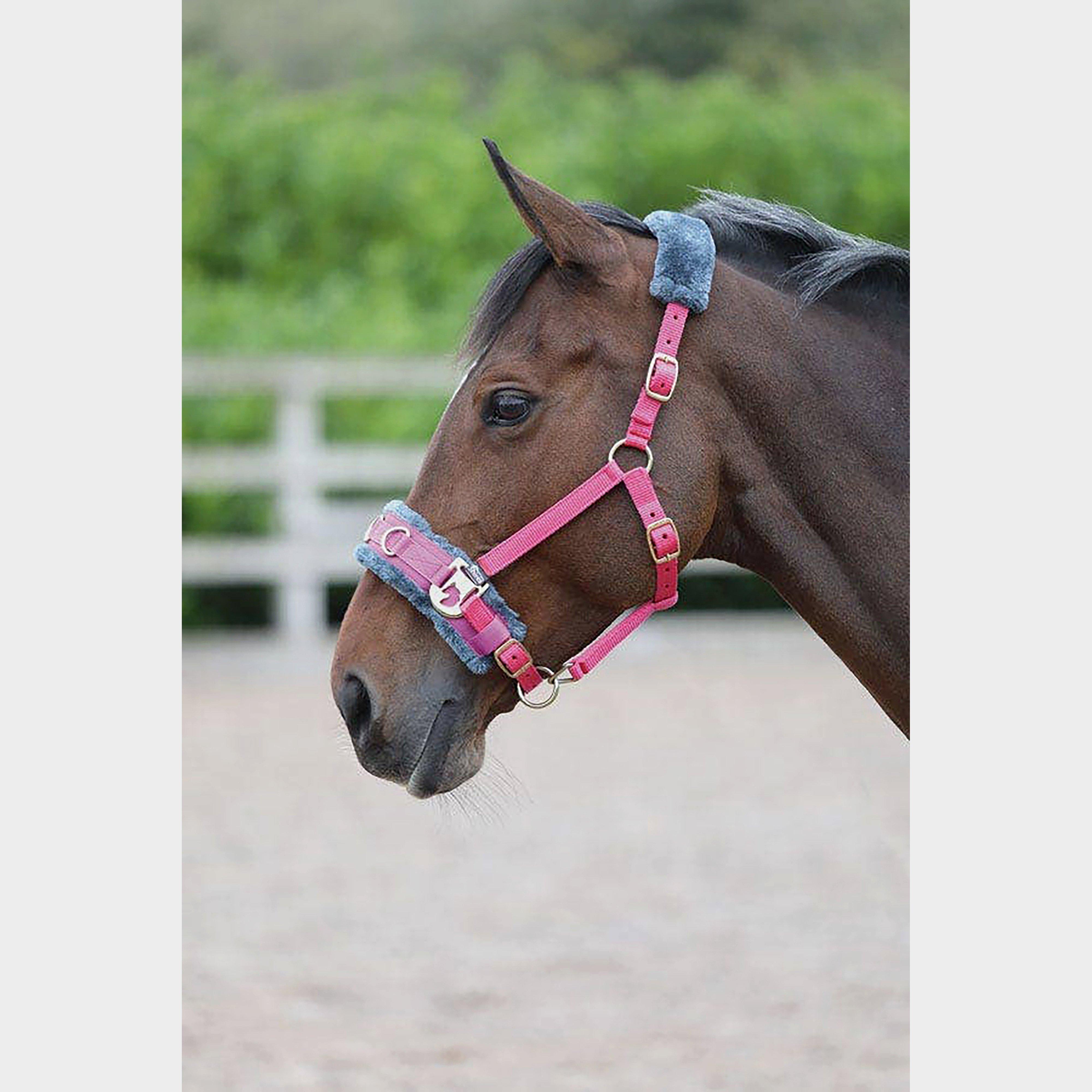 Fleece Lined Lunge Cavesson