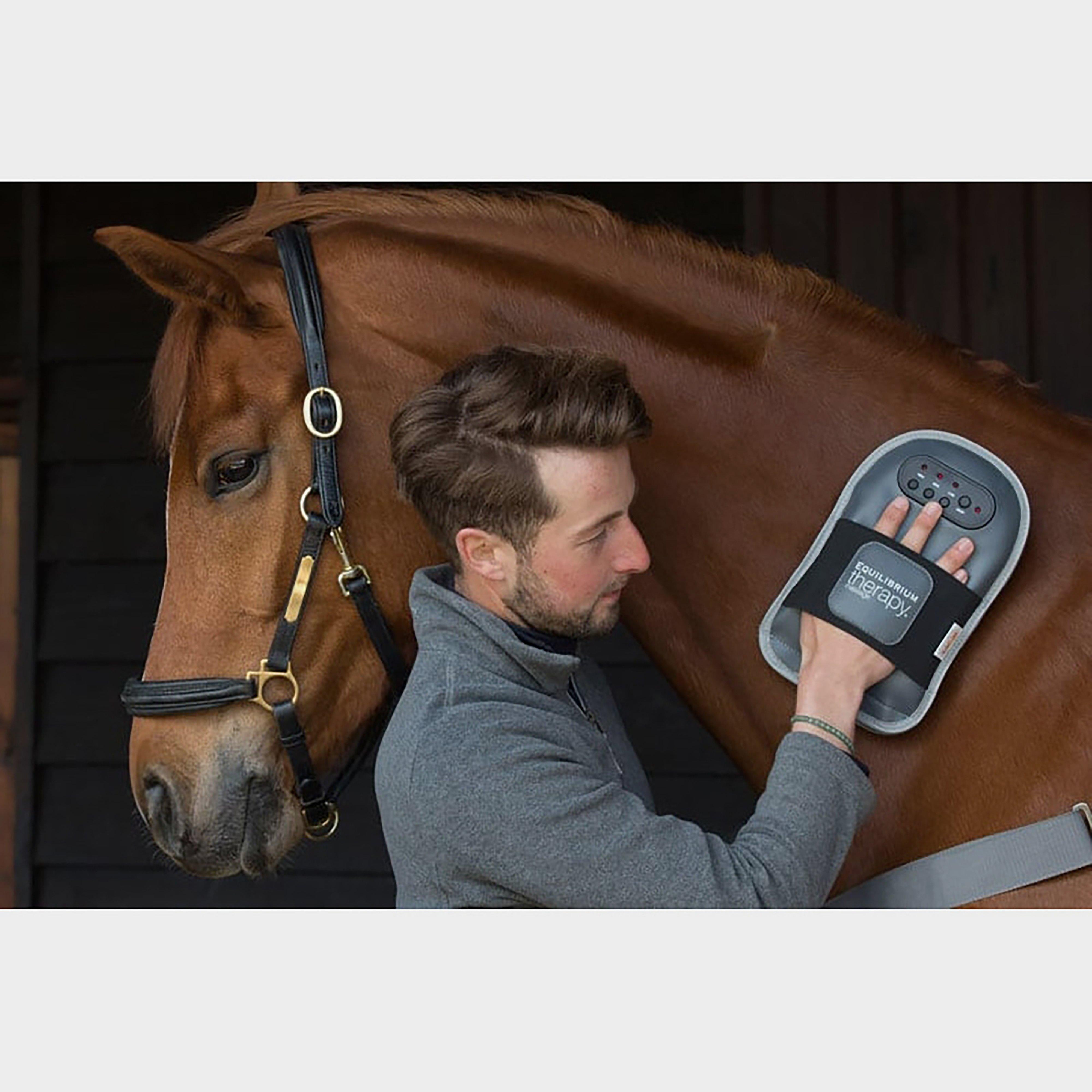 Equilibrium Massage Pad