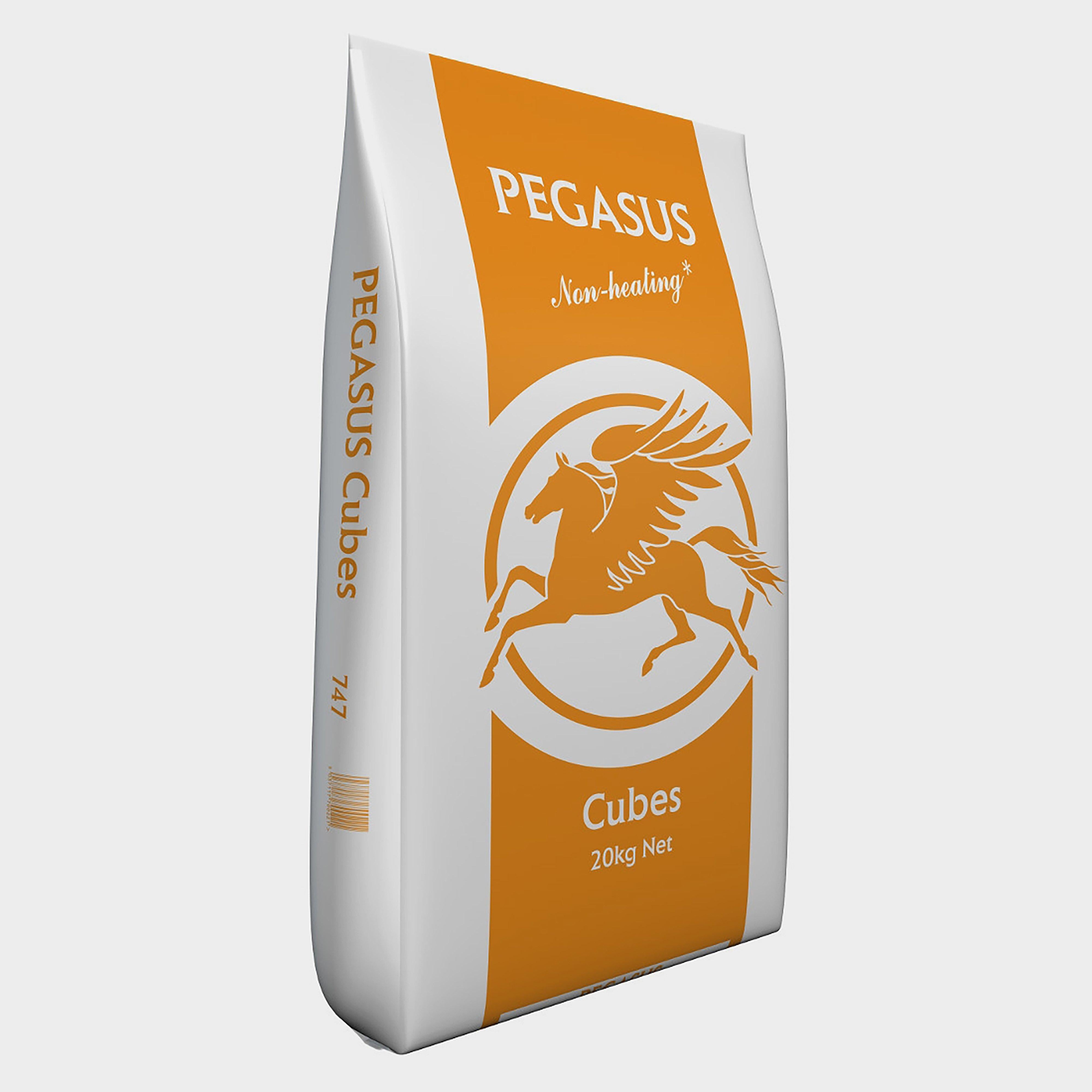 Pegasus Cubes 20kg