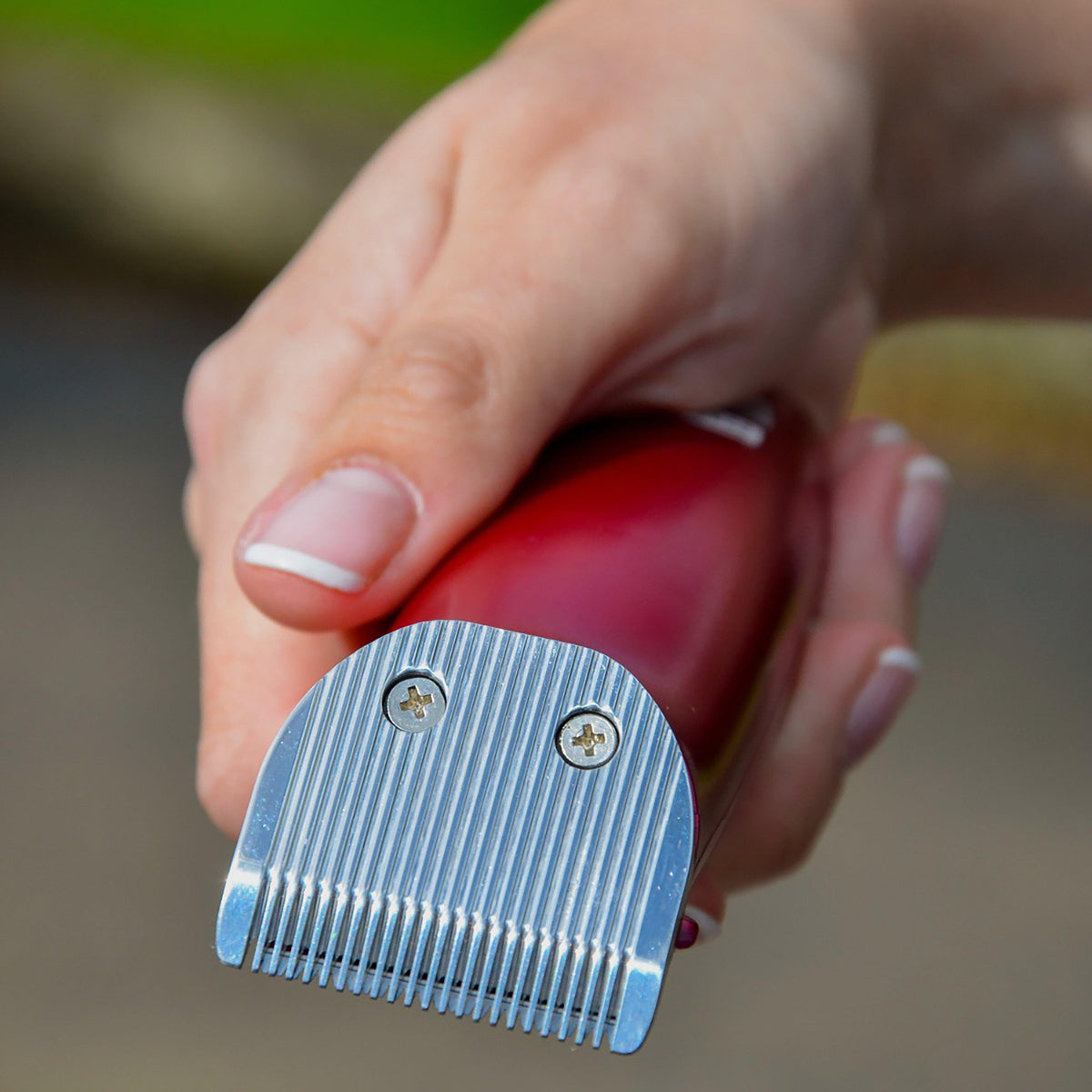 Flare Trimmer