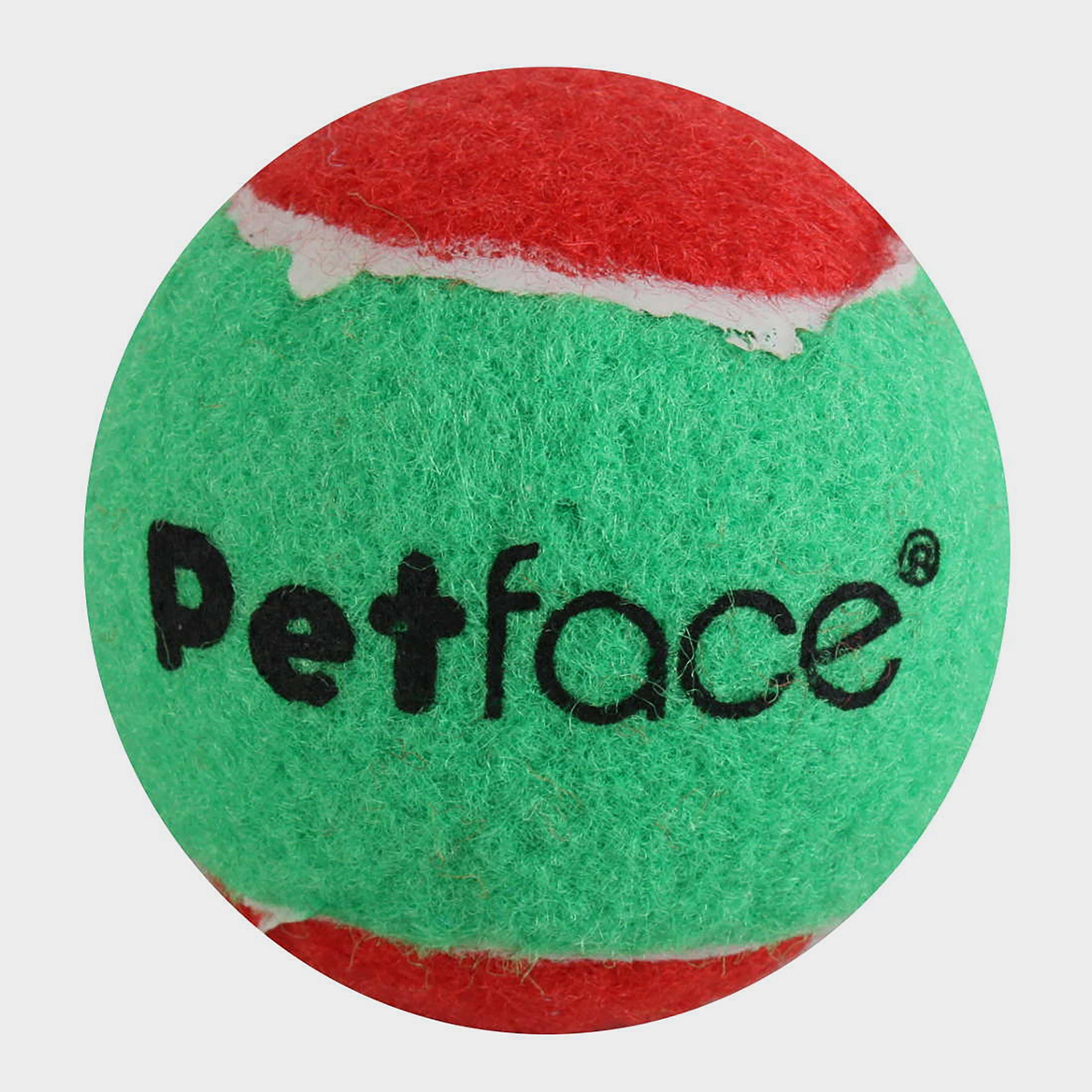 Squeaky Tennis Ball