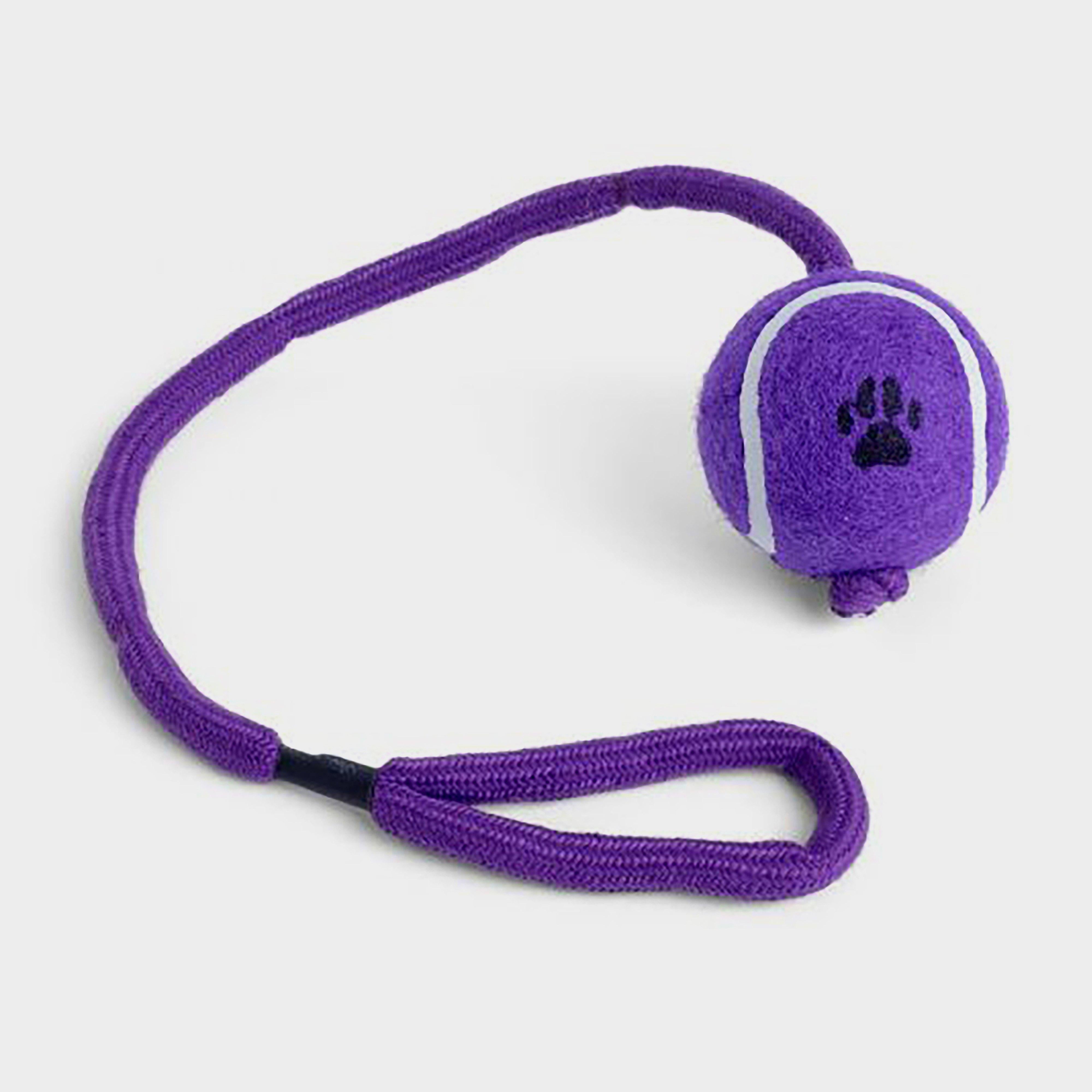 Ball on a Rope