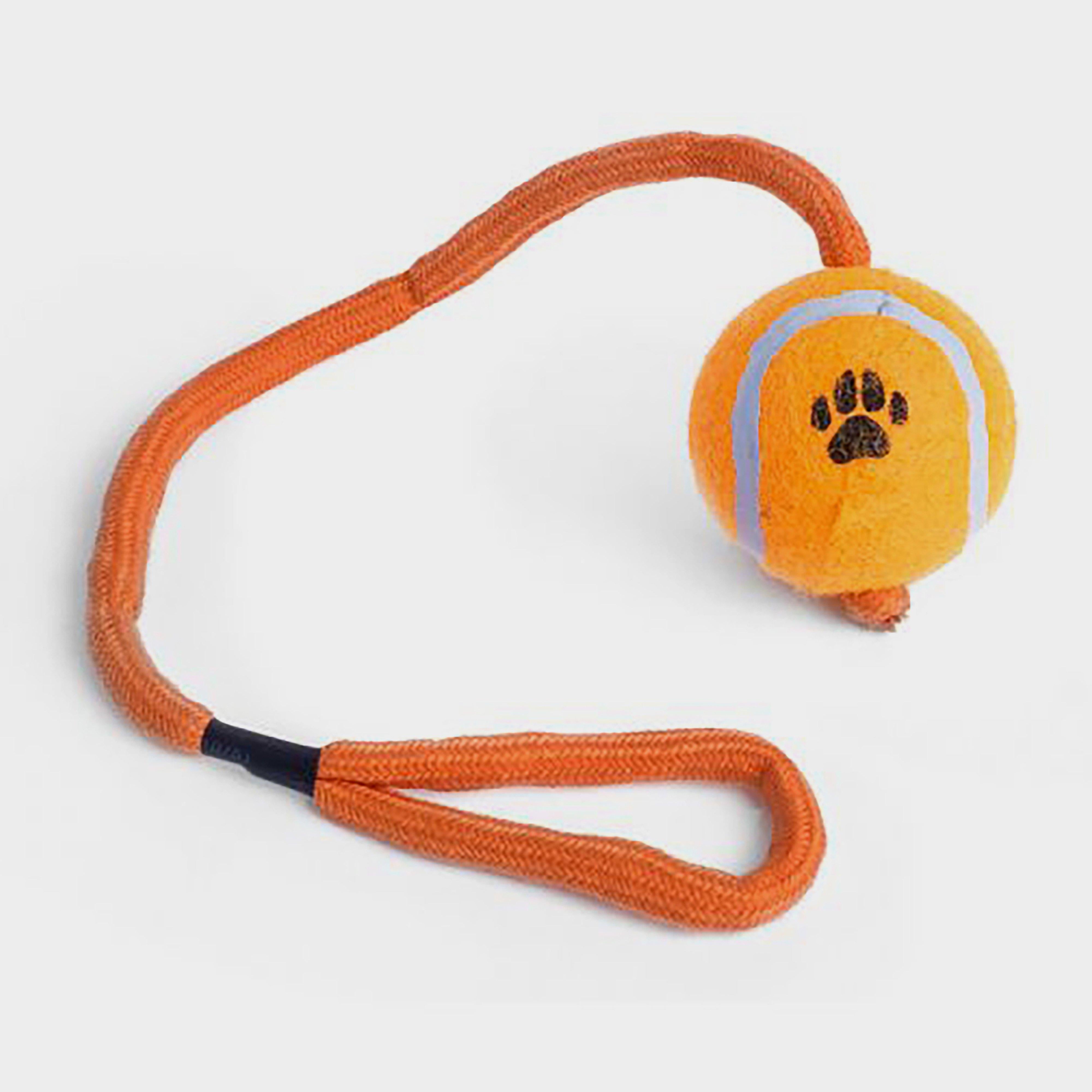Ball on a Rope