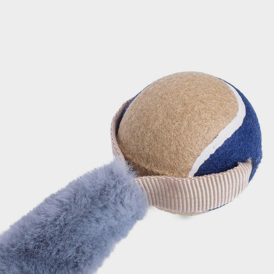 Outdoor Paws Aqua Stretchy Ball Thrower