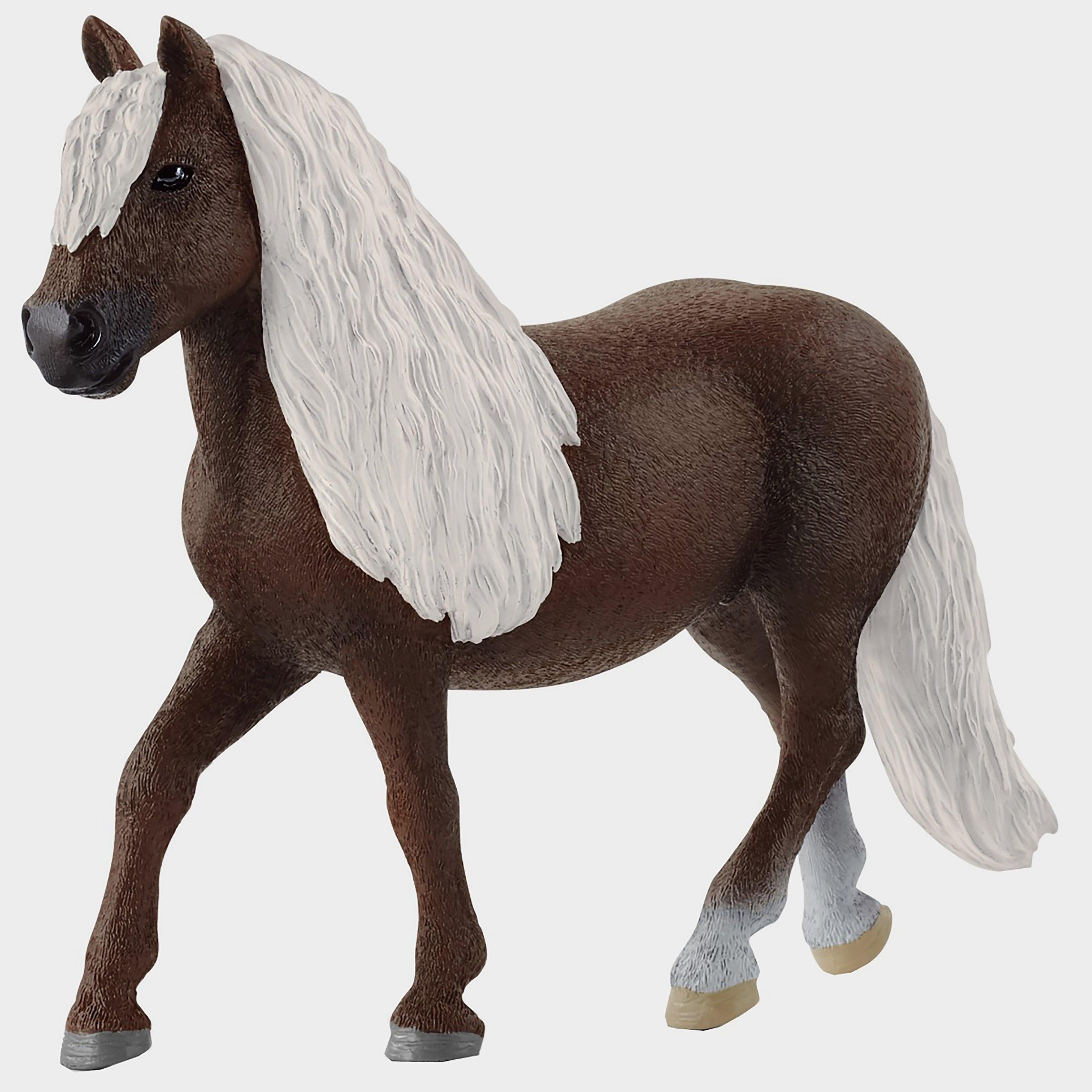 Black Forest Mare
