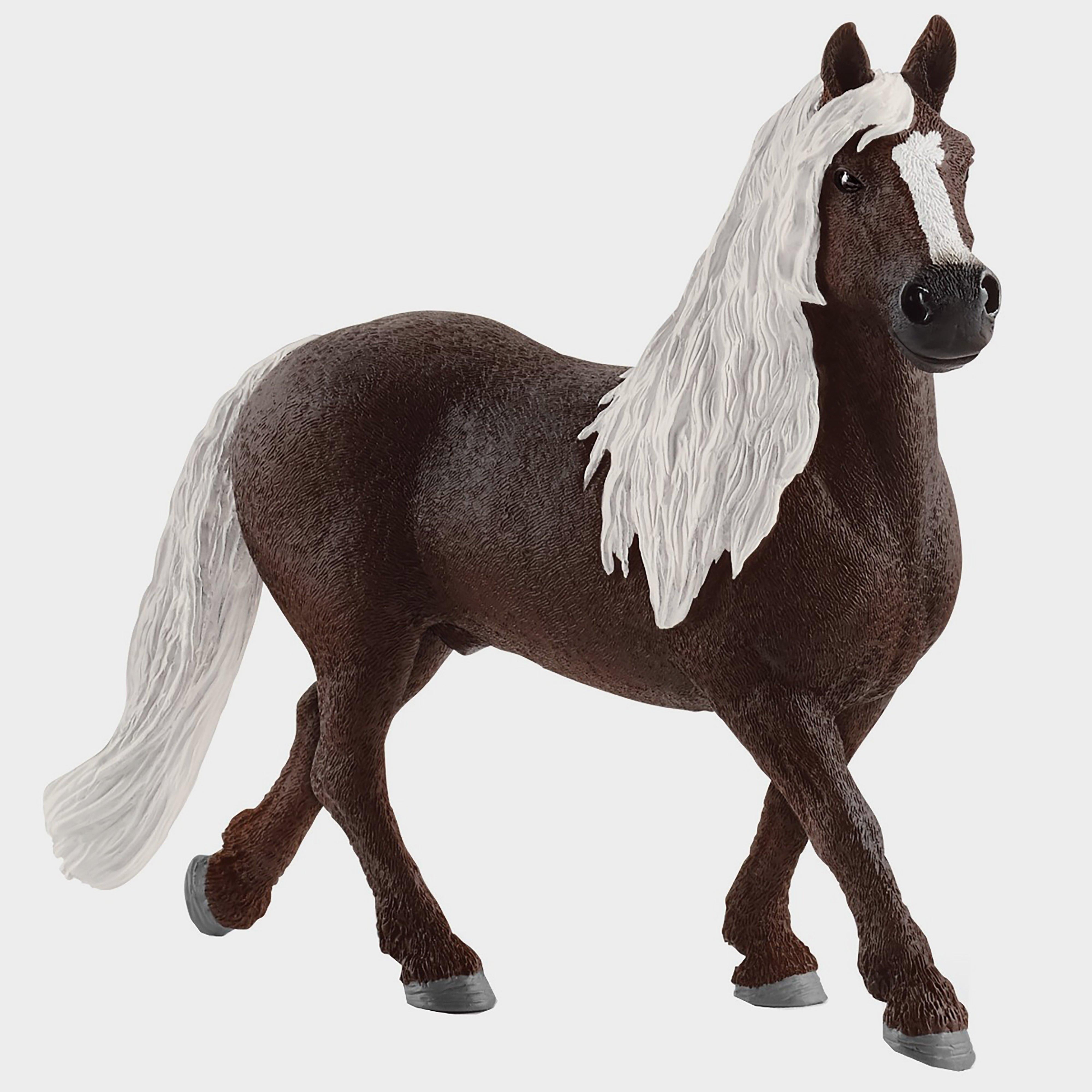 Black Forest Stallion