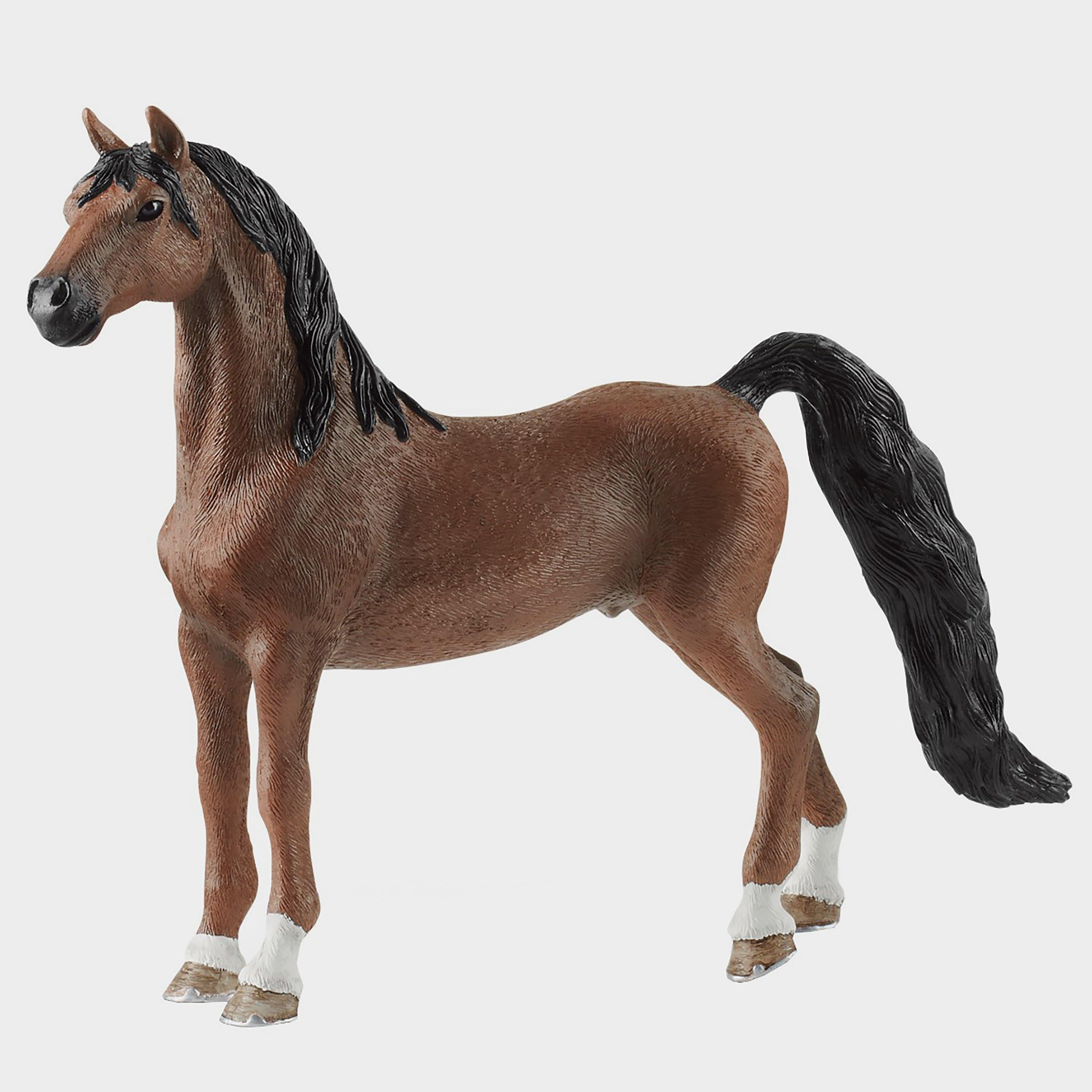 American Saddlebred Gelding