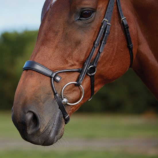 ComFiTec Training Bridle