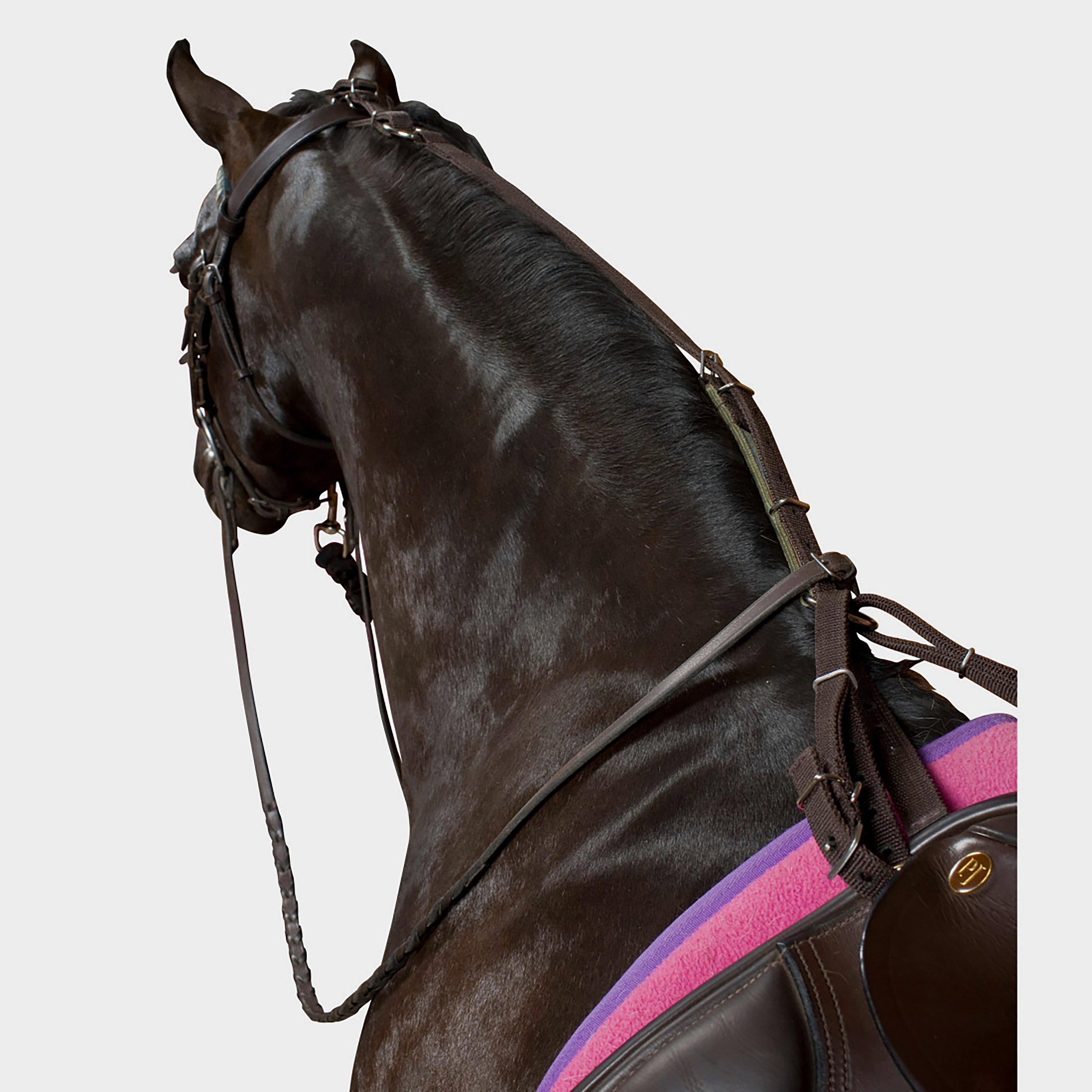 Daisy Reins